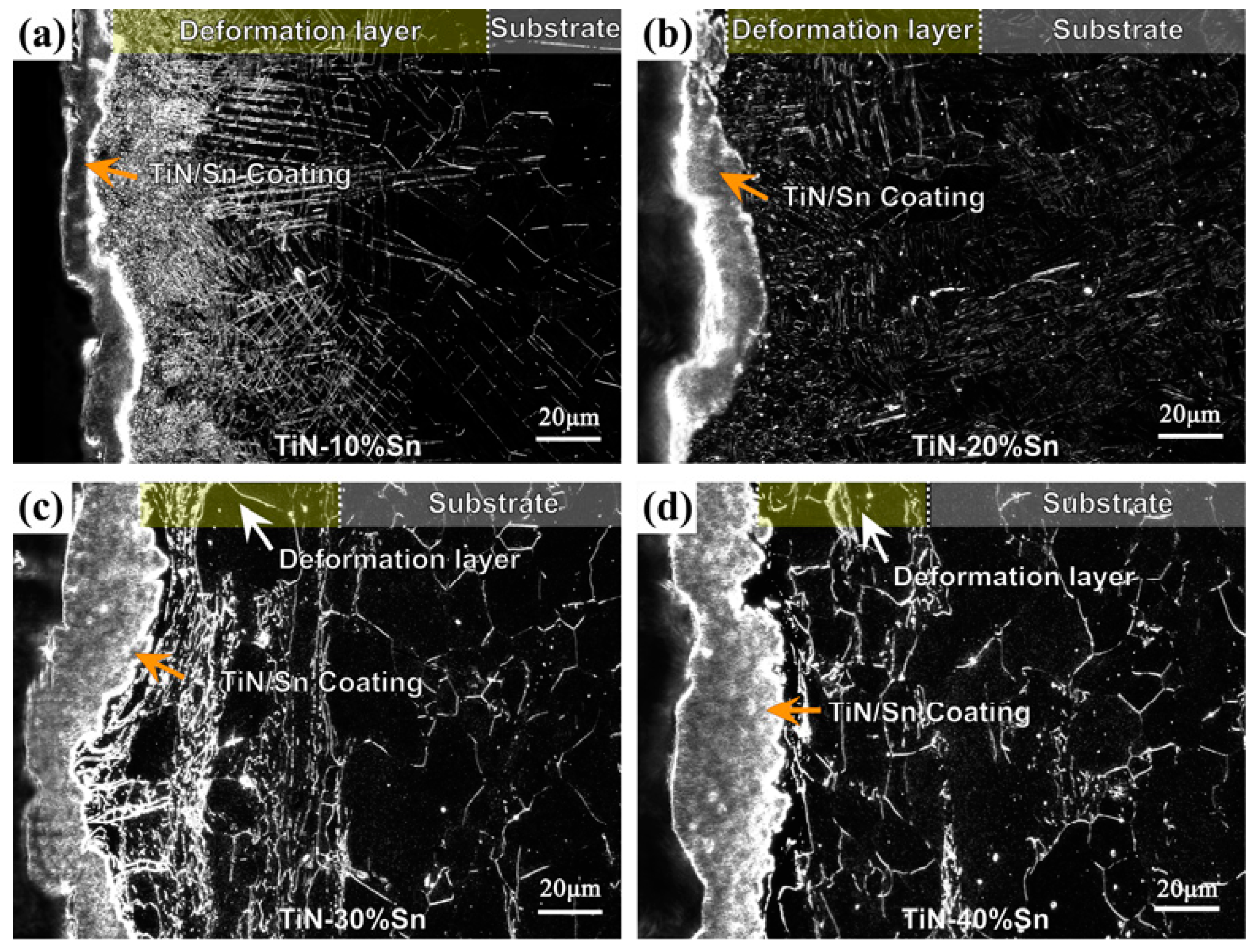 Materials 18 01160 g004