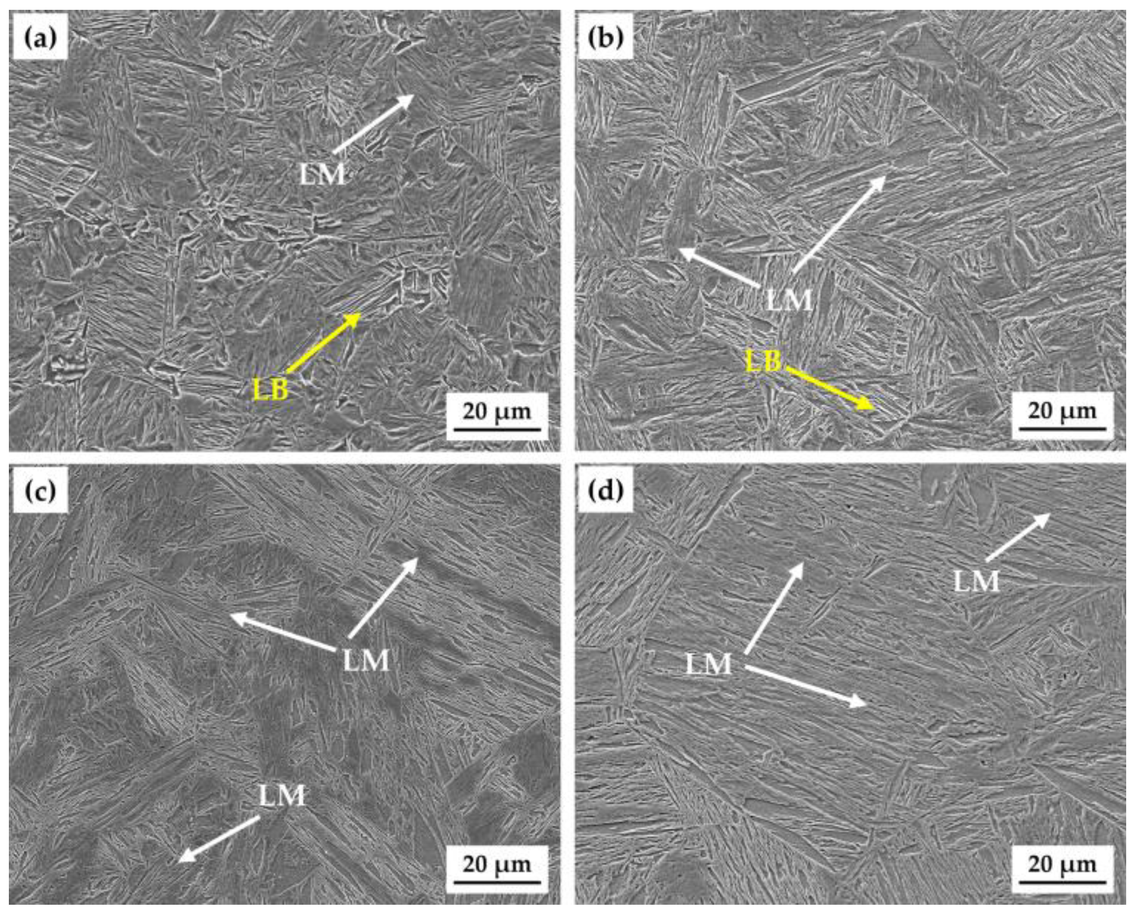 Materials 18 01161 g007