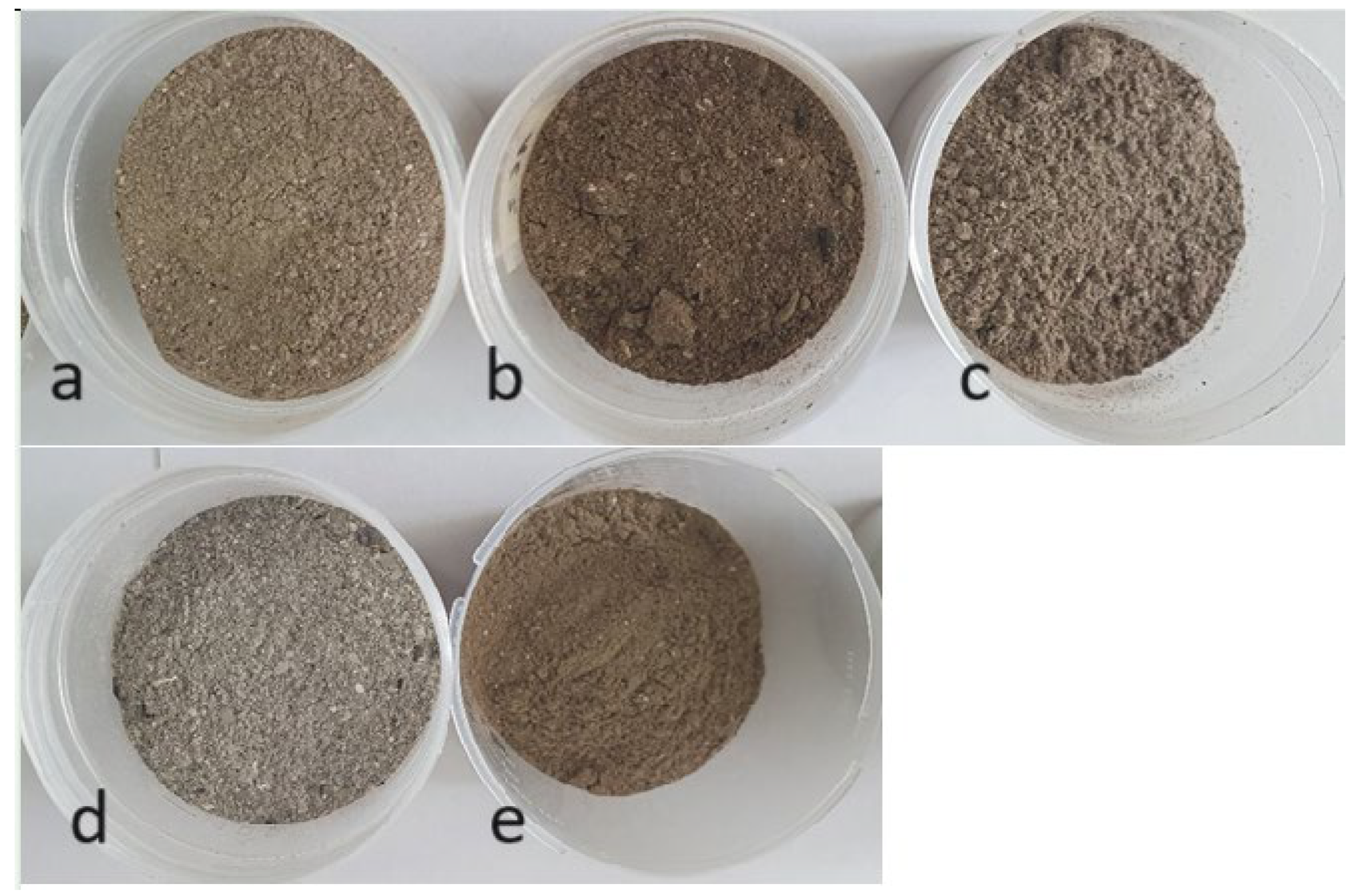 Materials 18 01165 g001