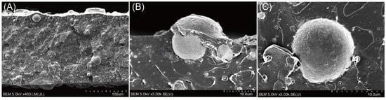 Materials 18 01167 g004