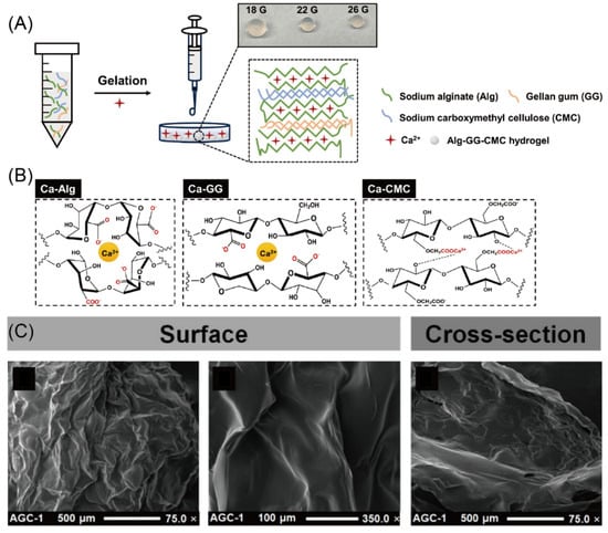 Materials 18 01167 g005