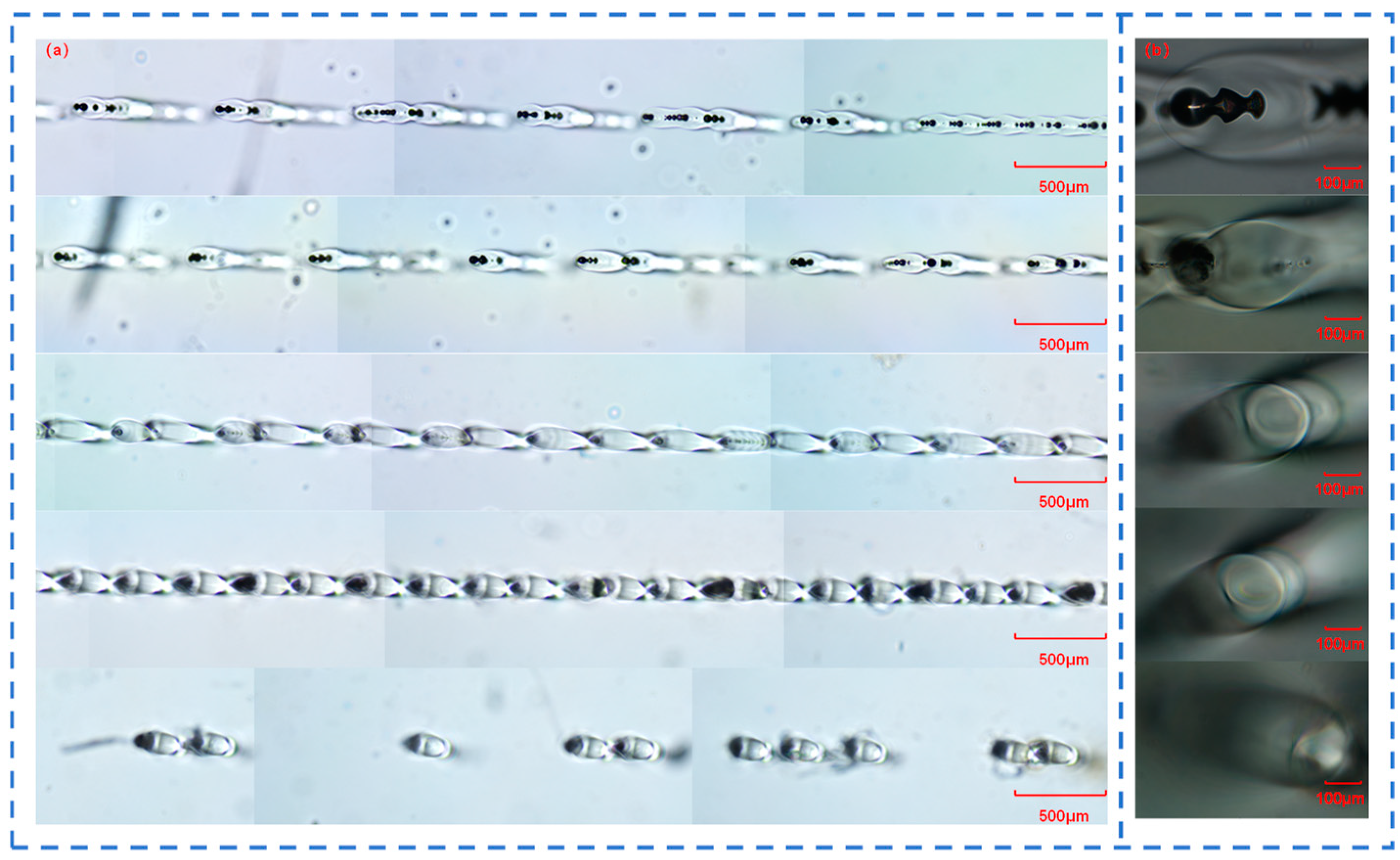 Materials 18 01169 g005