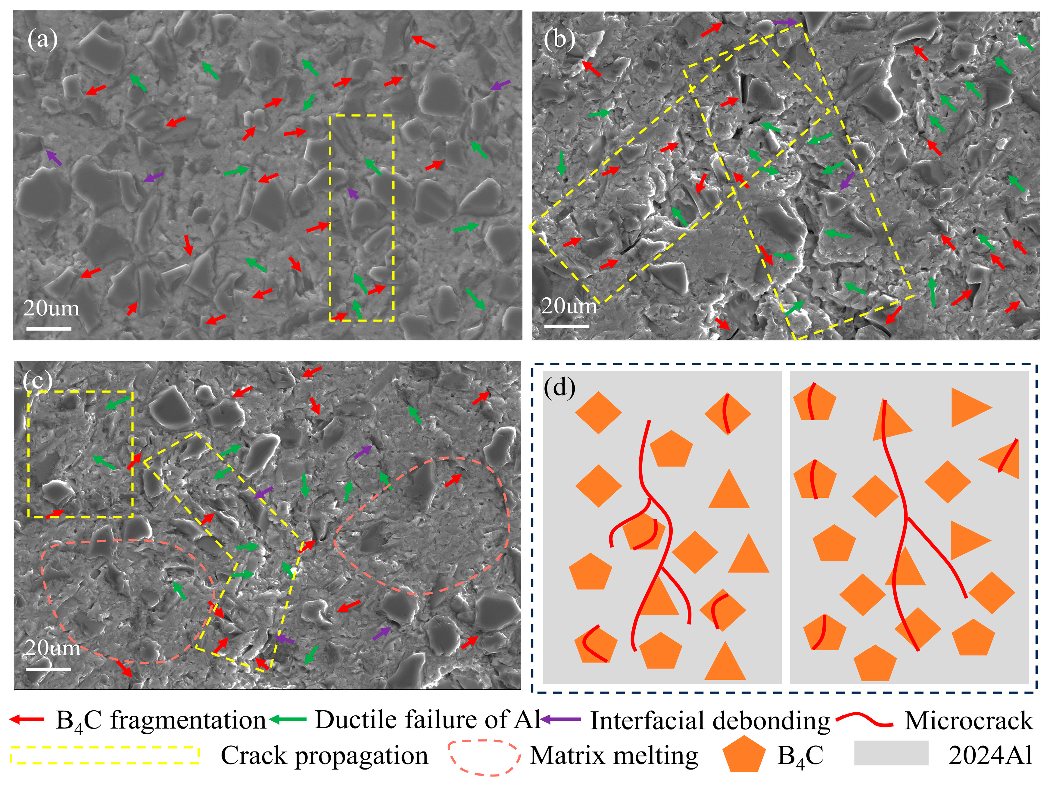 Materials 18 01170 g006