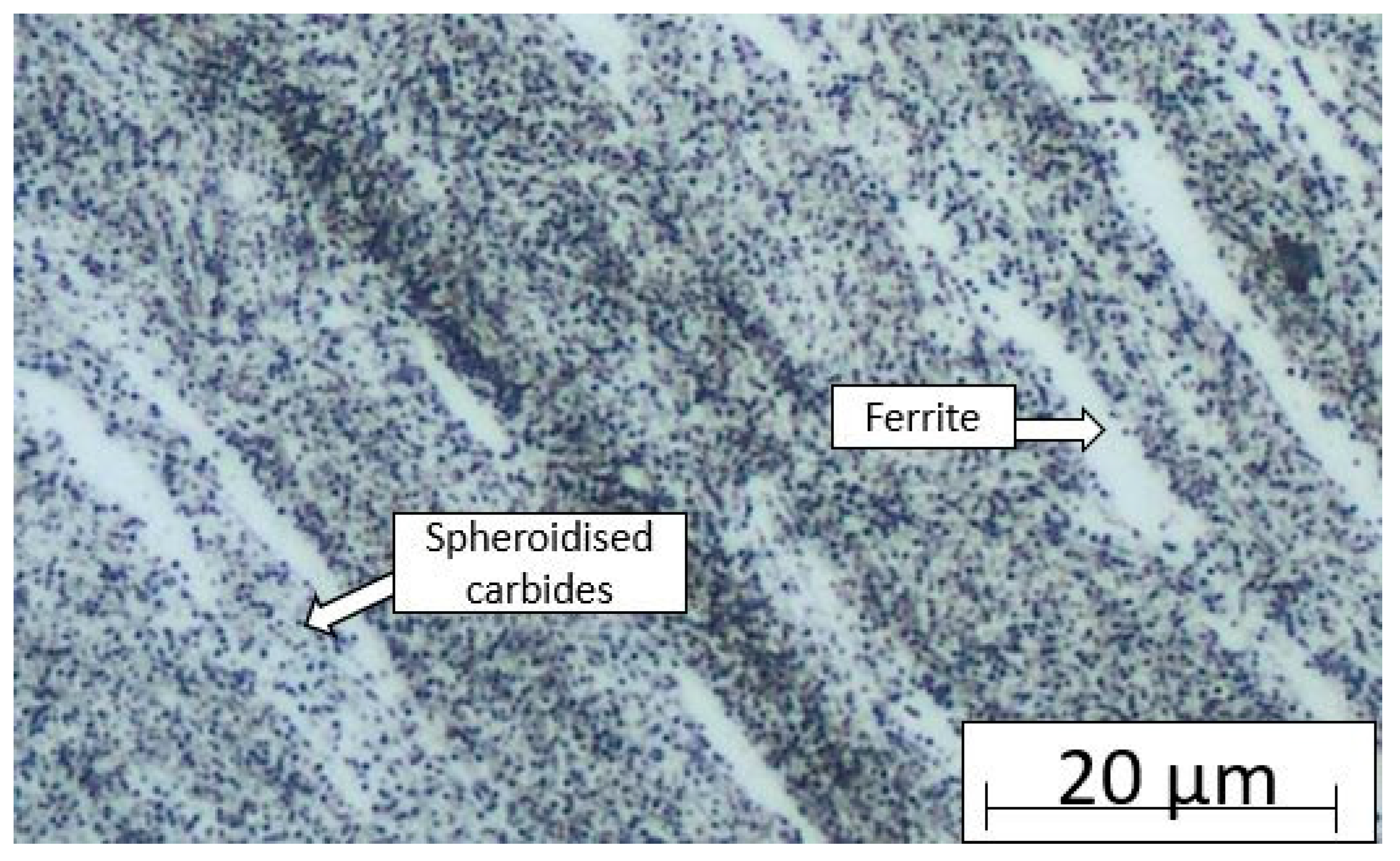 Materials 18 01196 g004