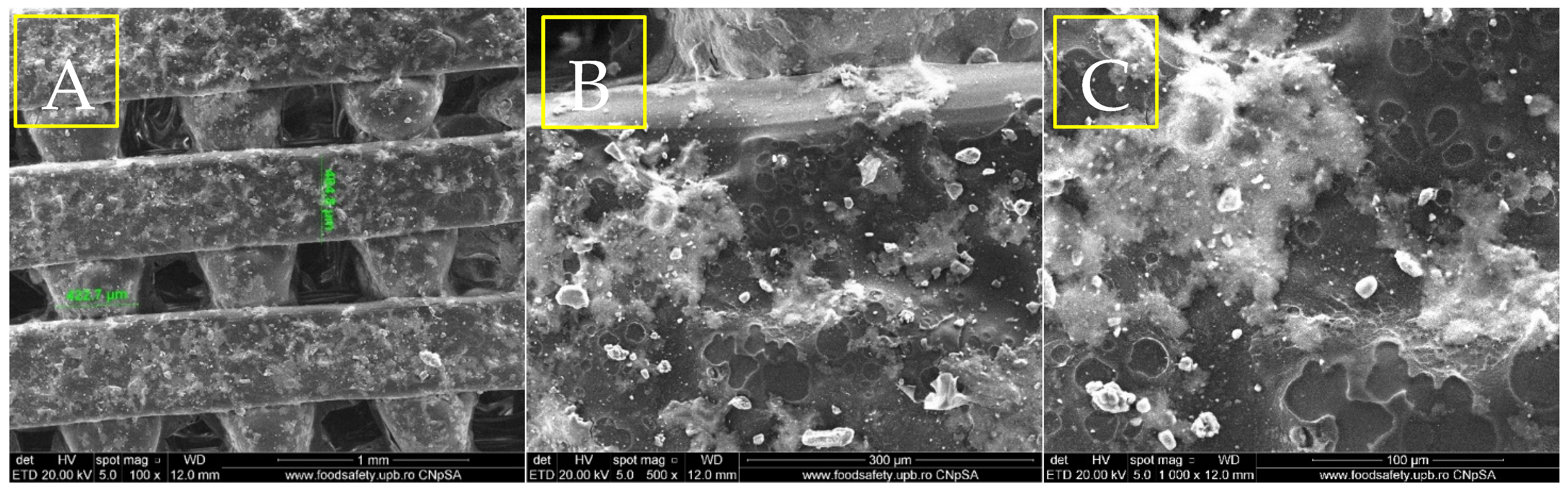 Materials 18 01206 g006