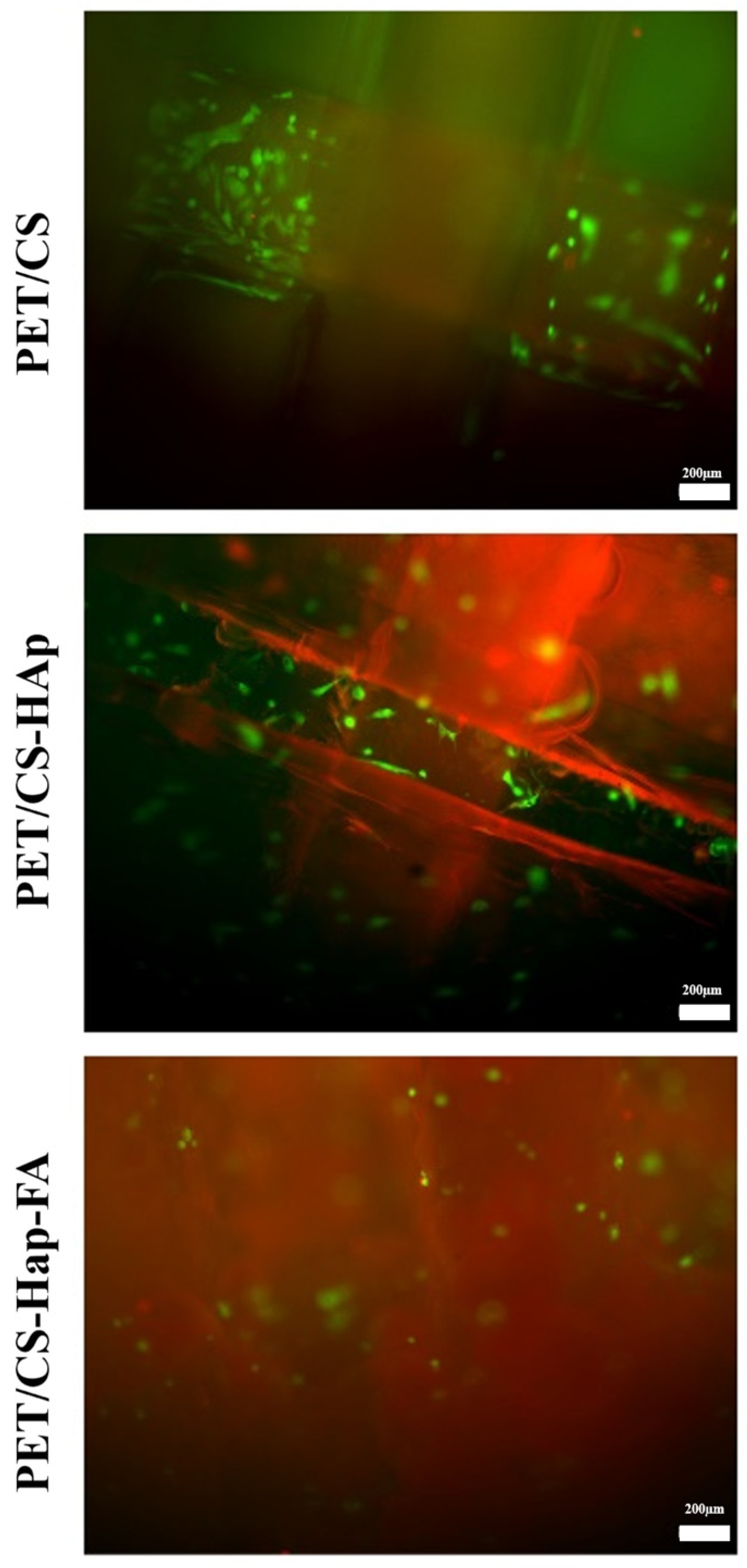 Materials 18 01206 g014