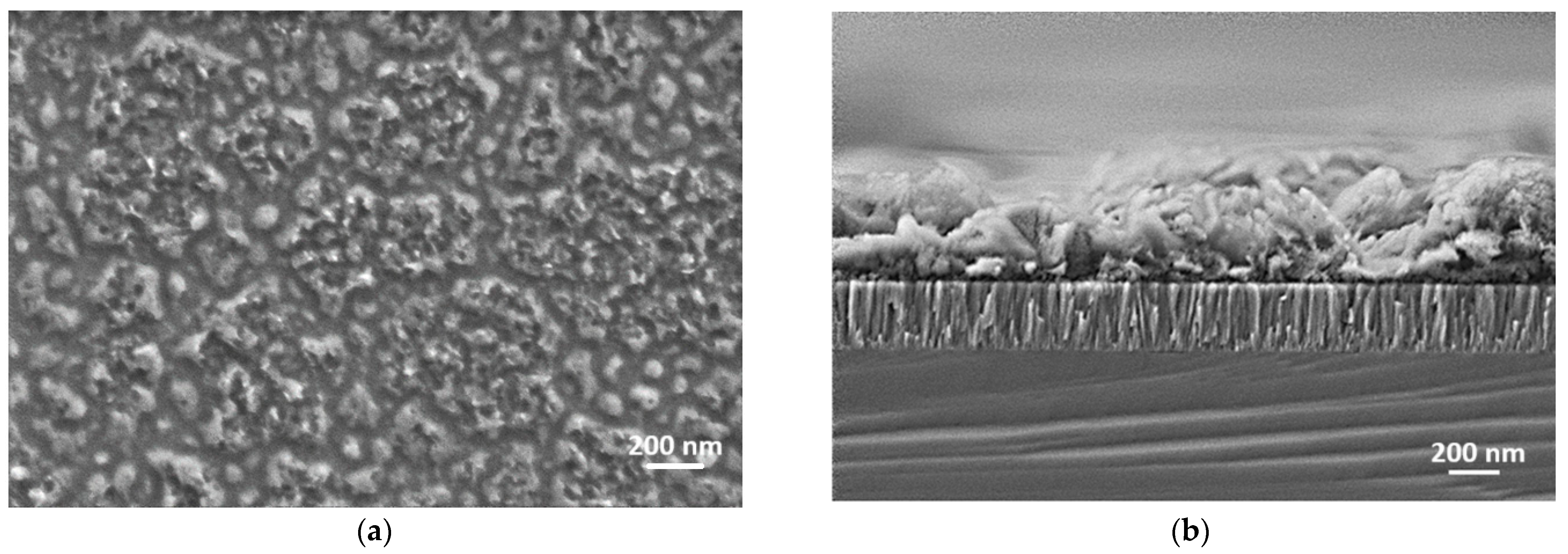 Materials 18 01217 g001