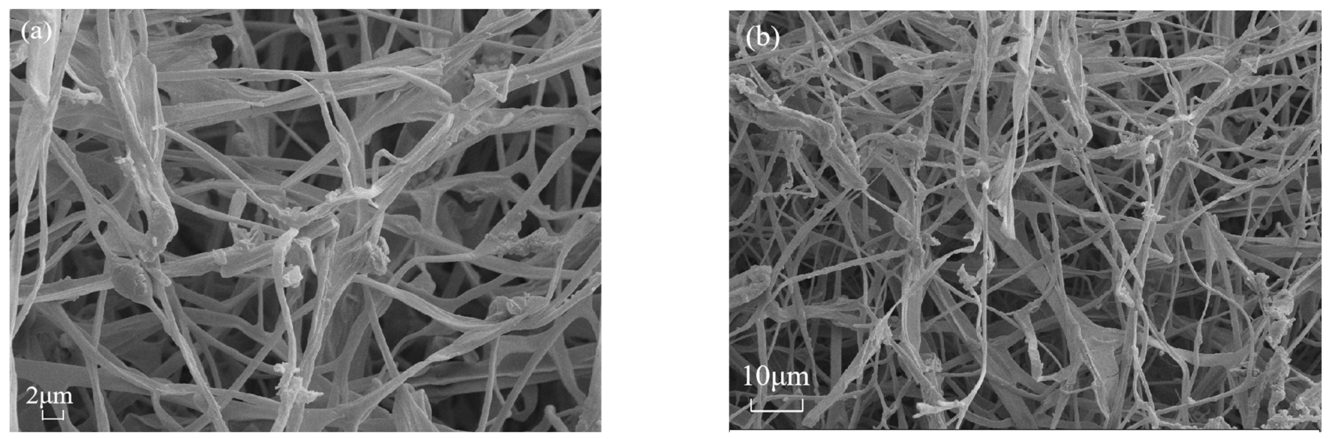 Materials 18 01225 g009a