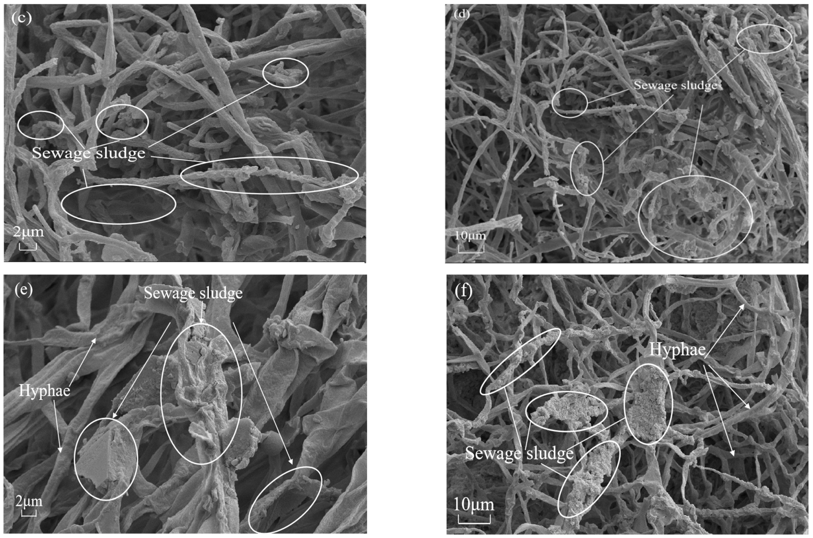 Materials 18 01225 g009b