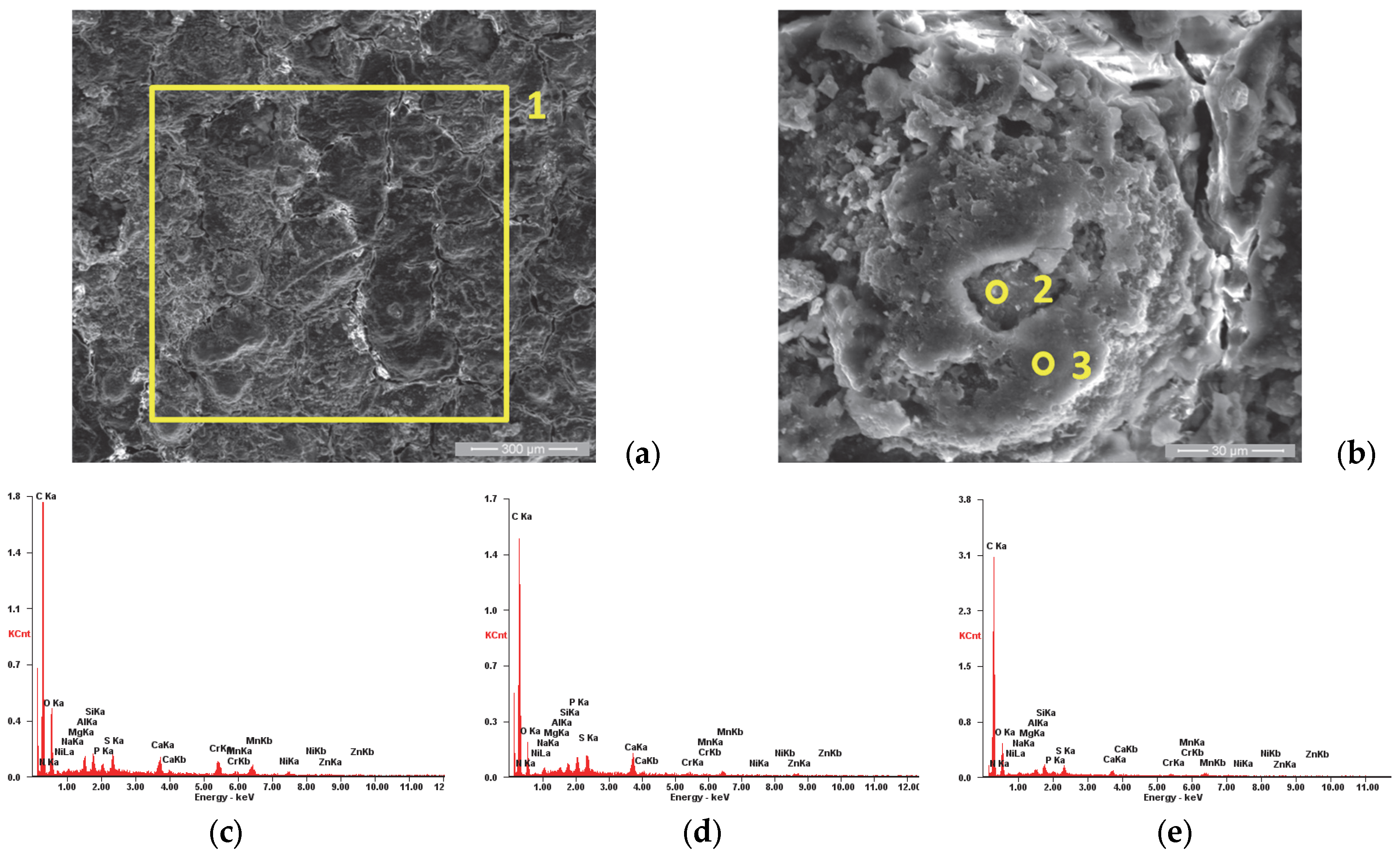 Materials 18 01227 g006