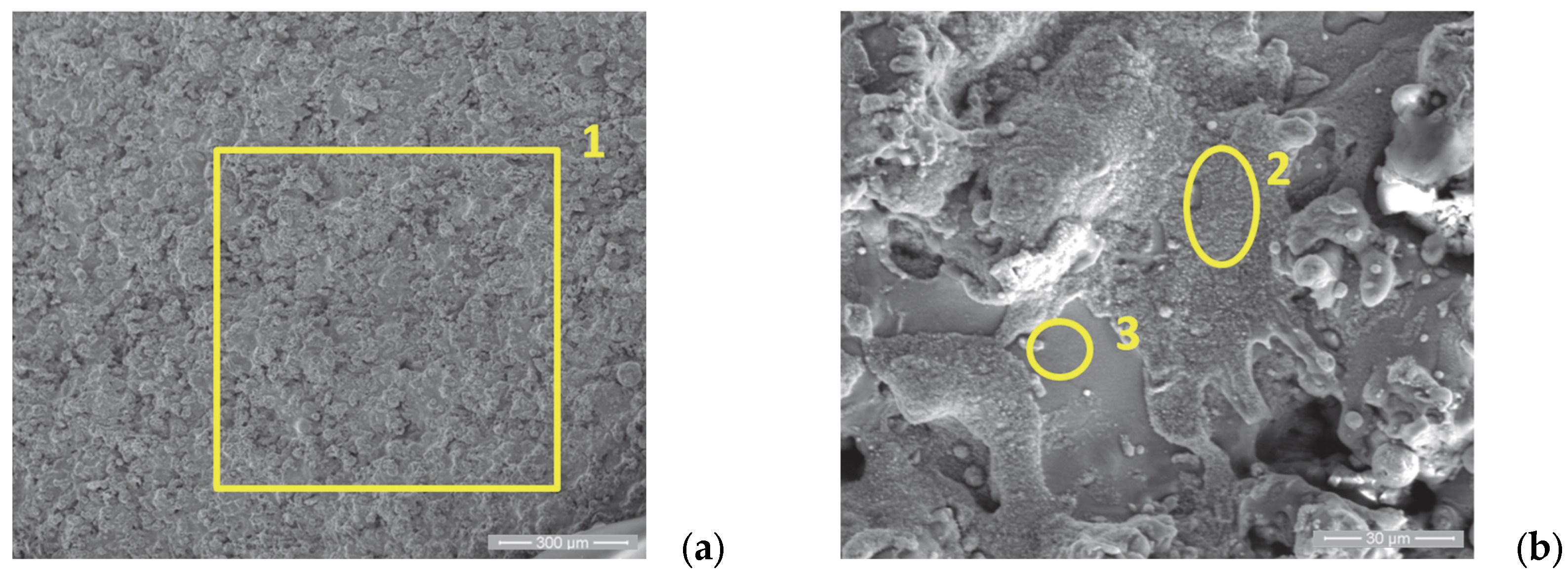 Materials 18 01227 g007a