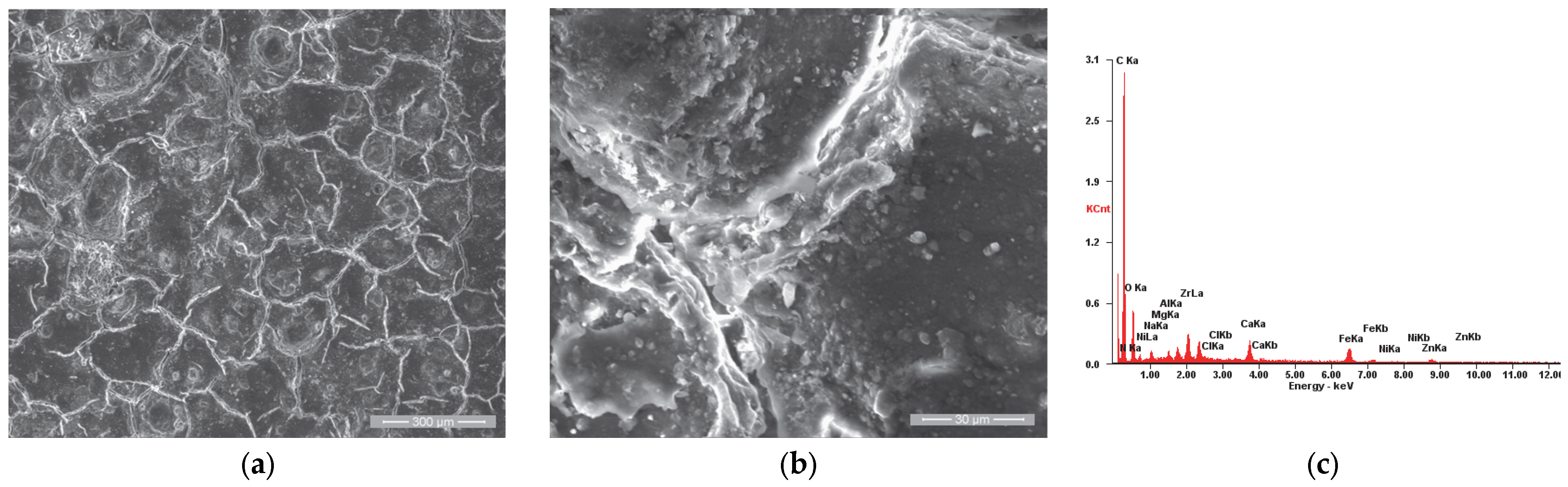 Materials 18 01227 g010