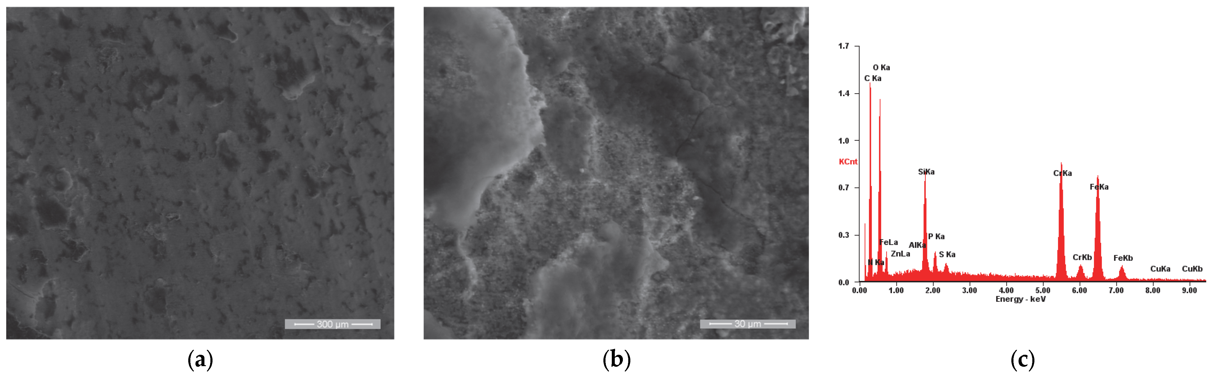 Materials 18 01227 g012