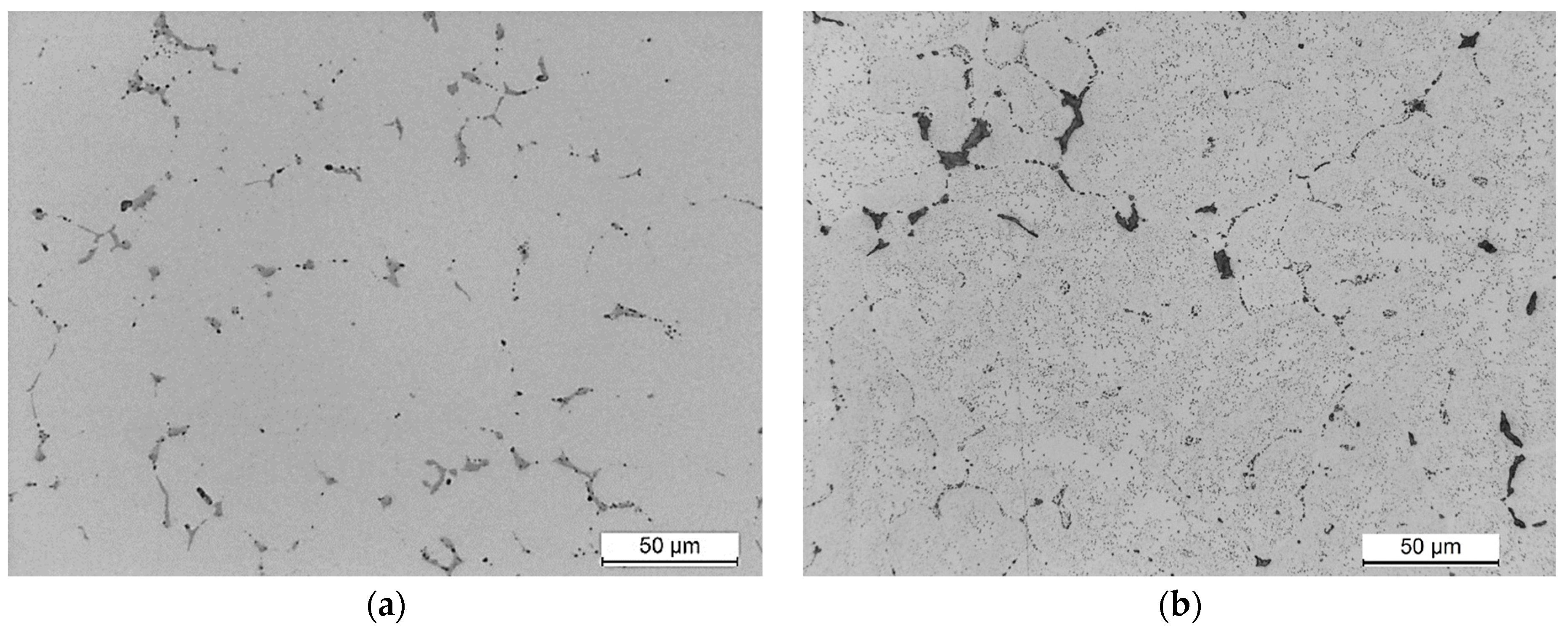 Materials 18 01235 g003 Materials 18 01235 g003