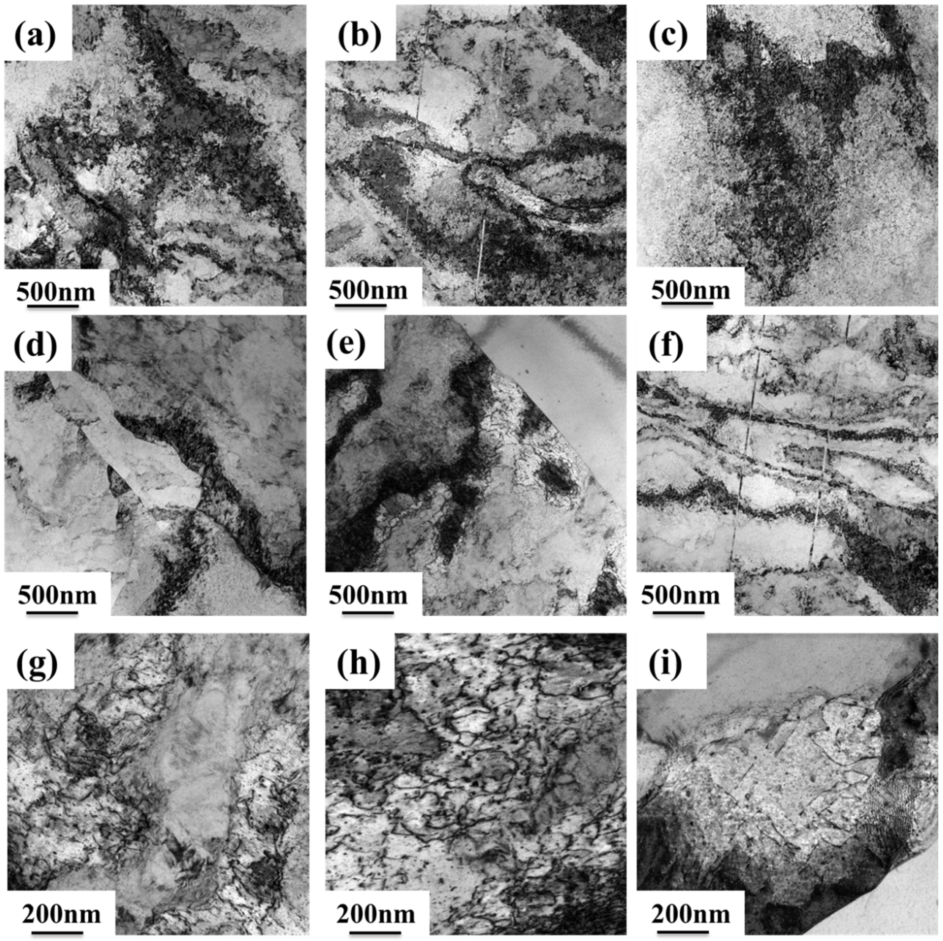 Materials 18 01325 g008