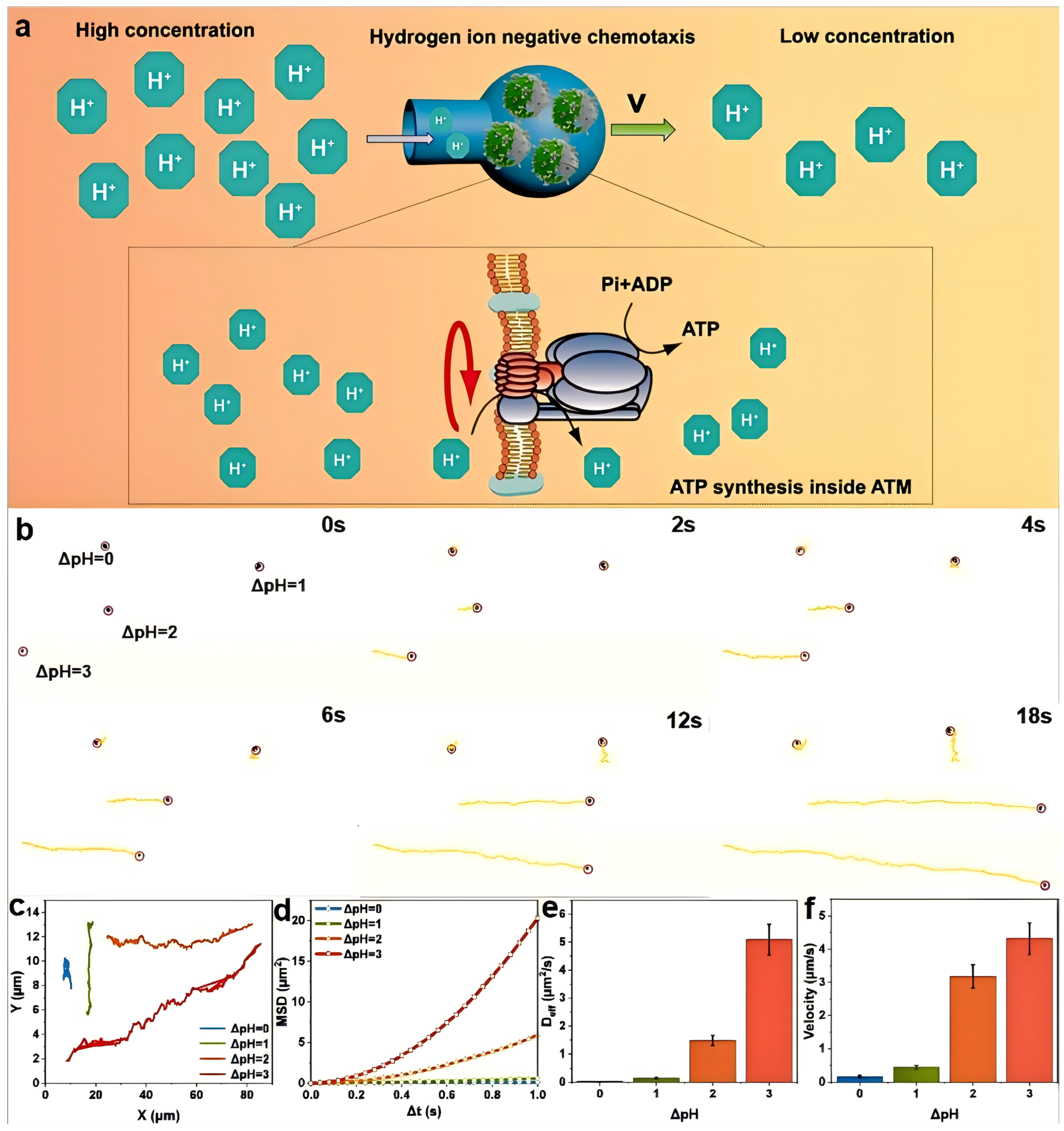 Materials 18 01351 g002