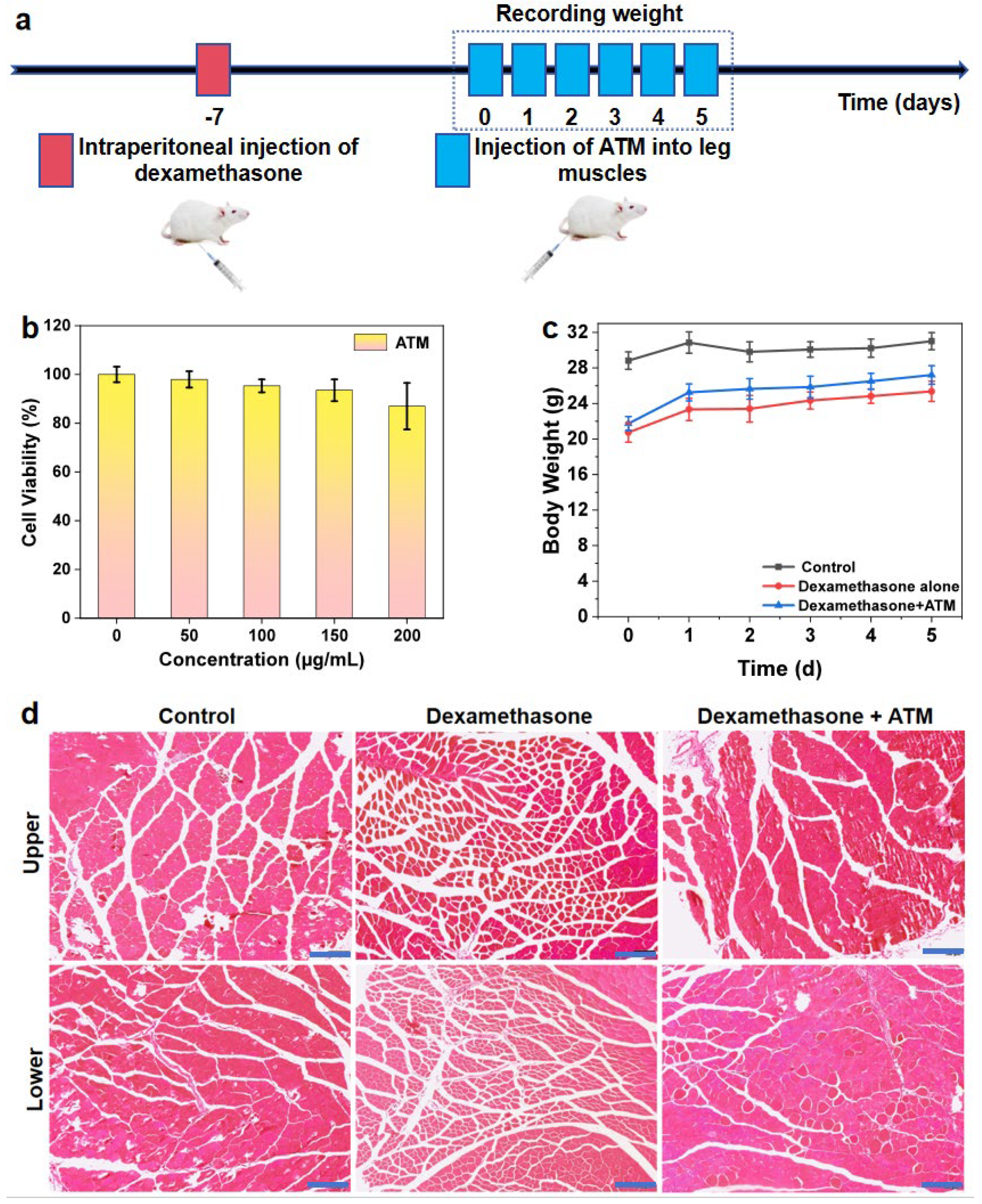 Materials 18 01351 g003