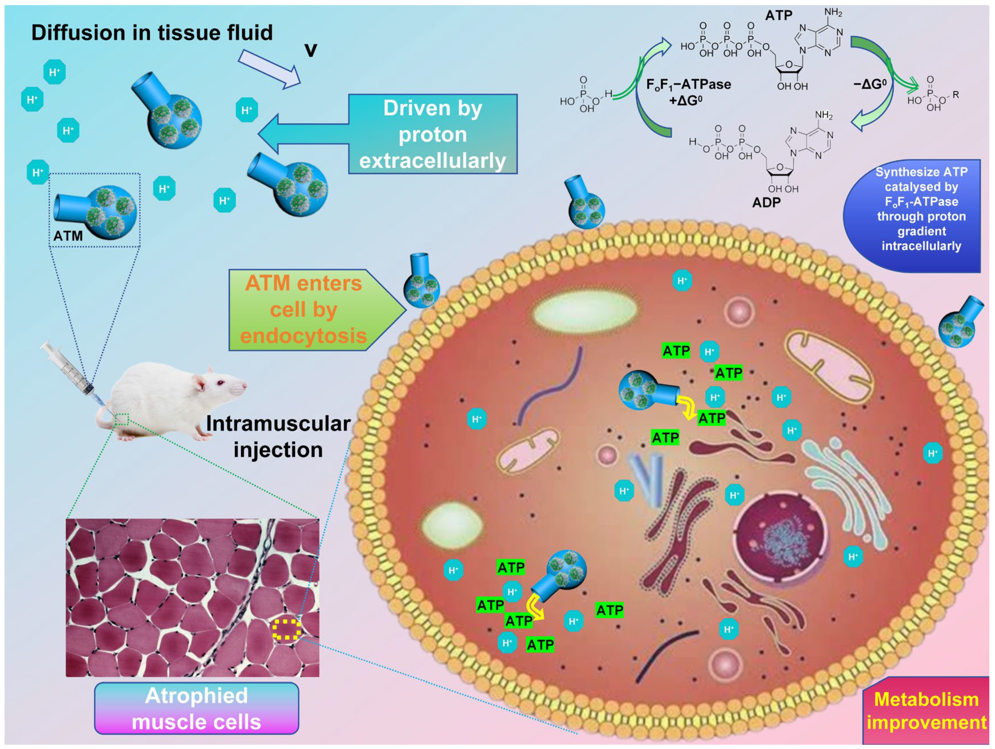 Materials 18 01351 sch001