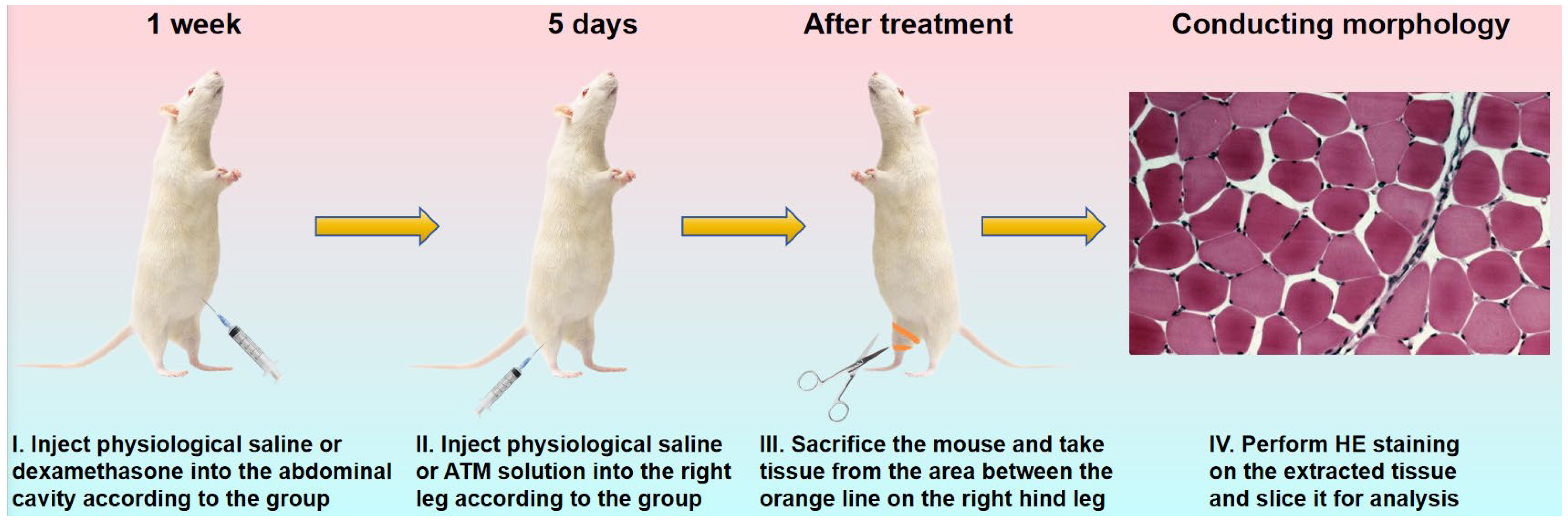 Materials 18 01351 sch002
