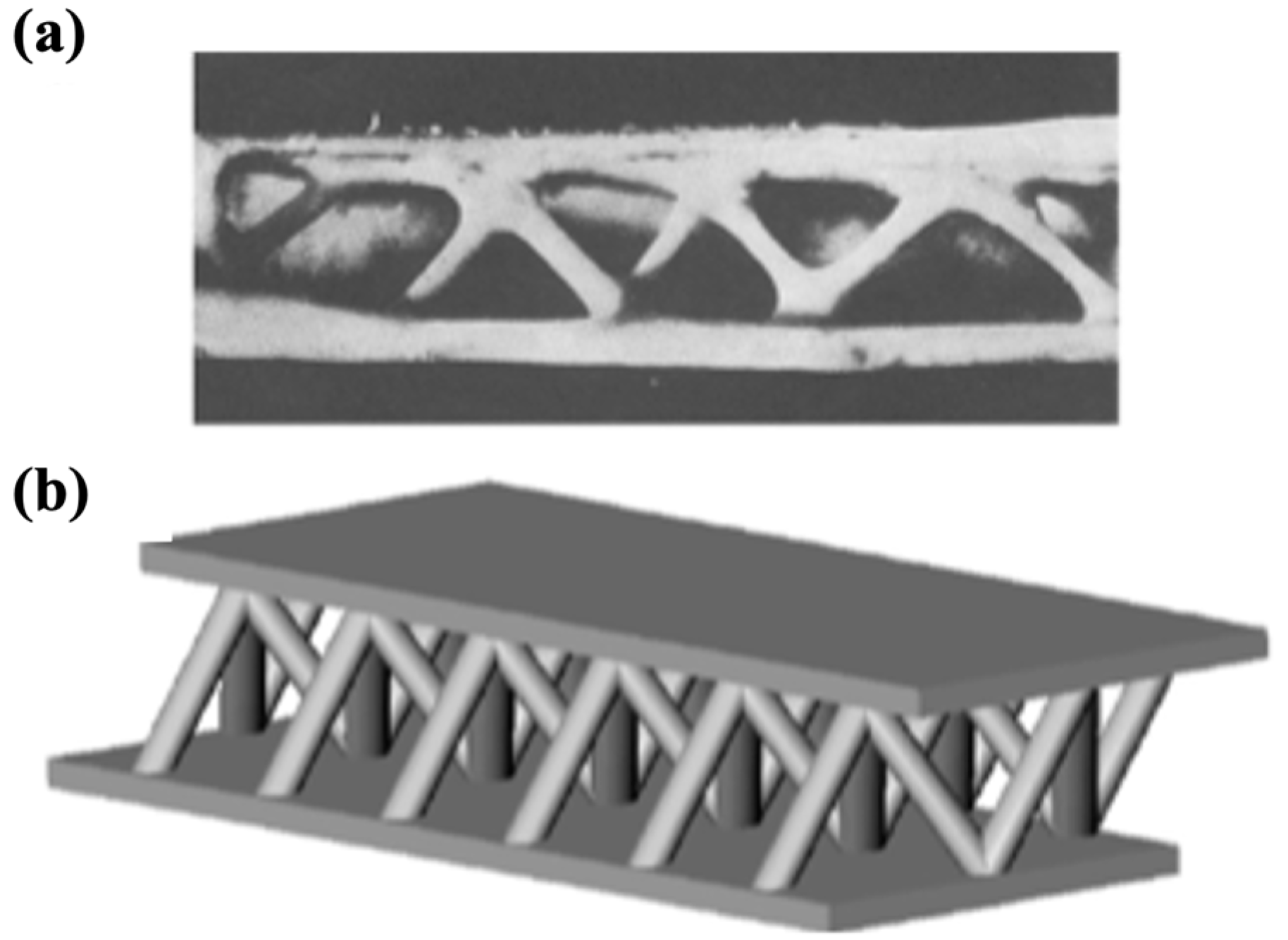 Materials 18 01377 g013