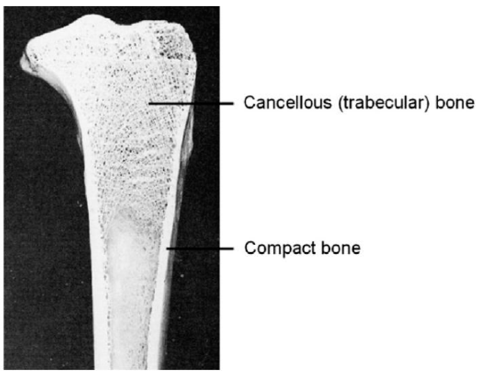 Materials 18 01377 g014