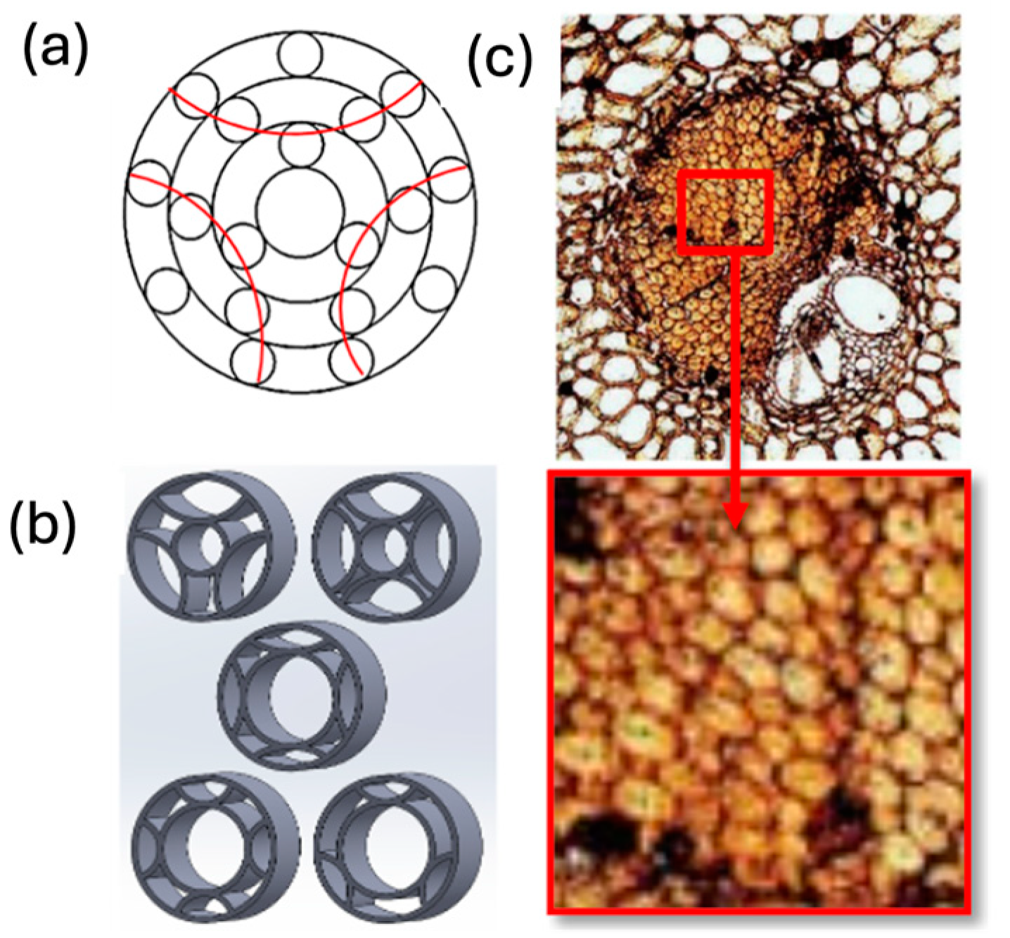 Materials 18 01377 g016