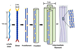 Materials 18 01377 i002