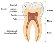 Materials 18 01377 i007