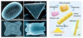 Materials 18 01377 i015