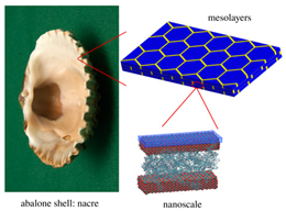 Materials 18 01377 i016