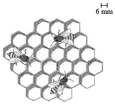 Materials 18 01377 i020