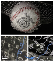 Materials 18 01377 i029