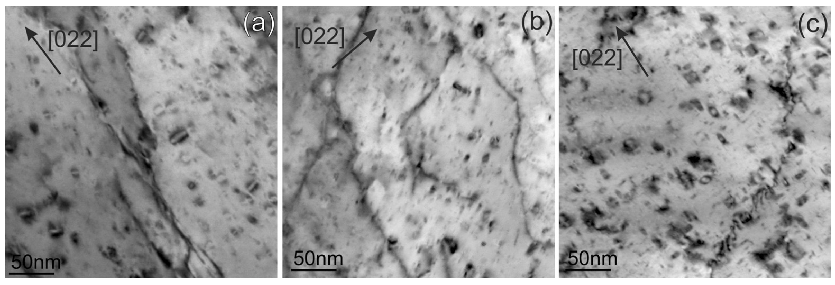 Materials 18 01401 g005