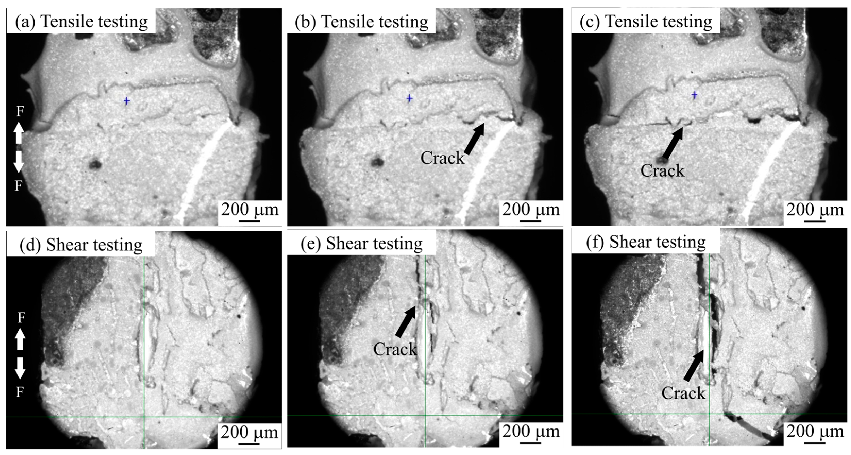 Materials 18 01435 g007