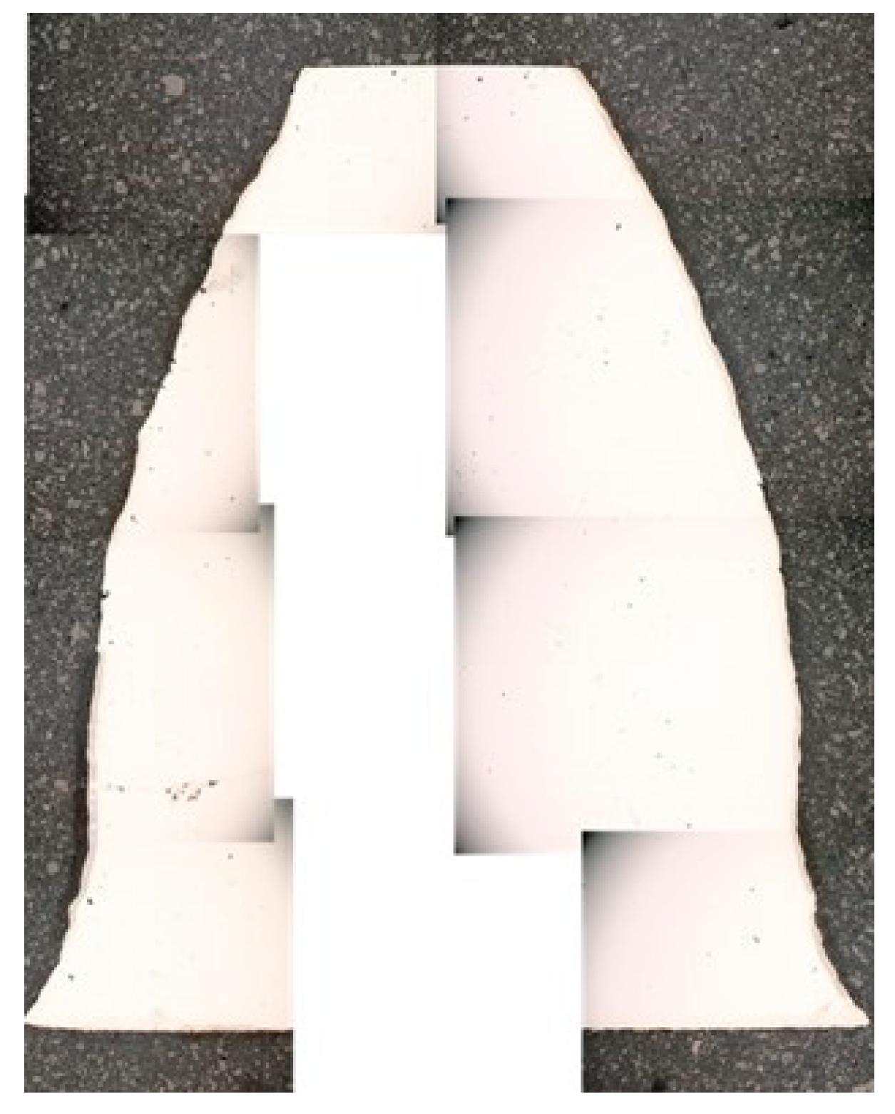 Materials 18 01461 g010