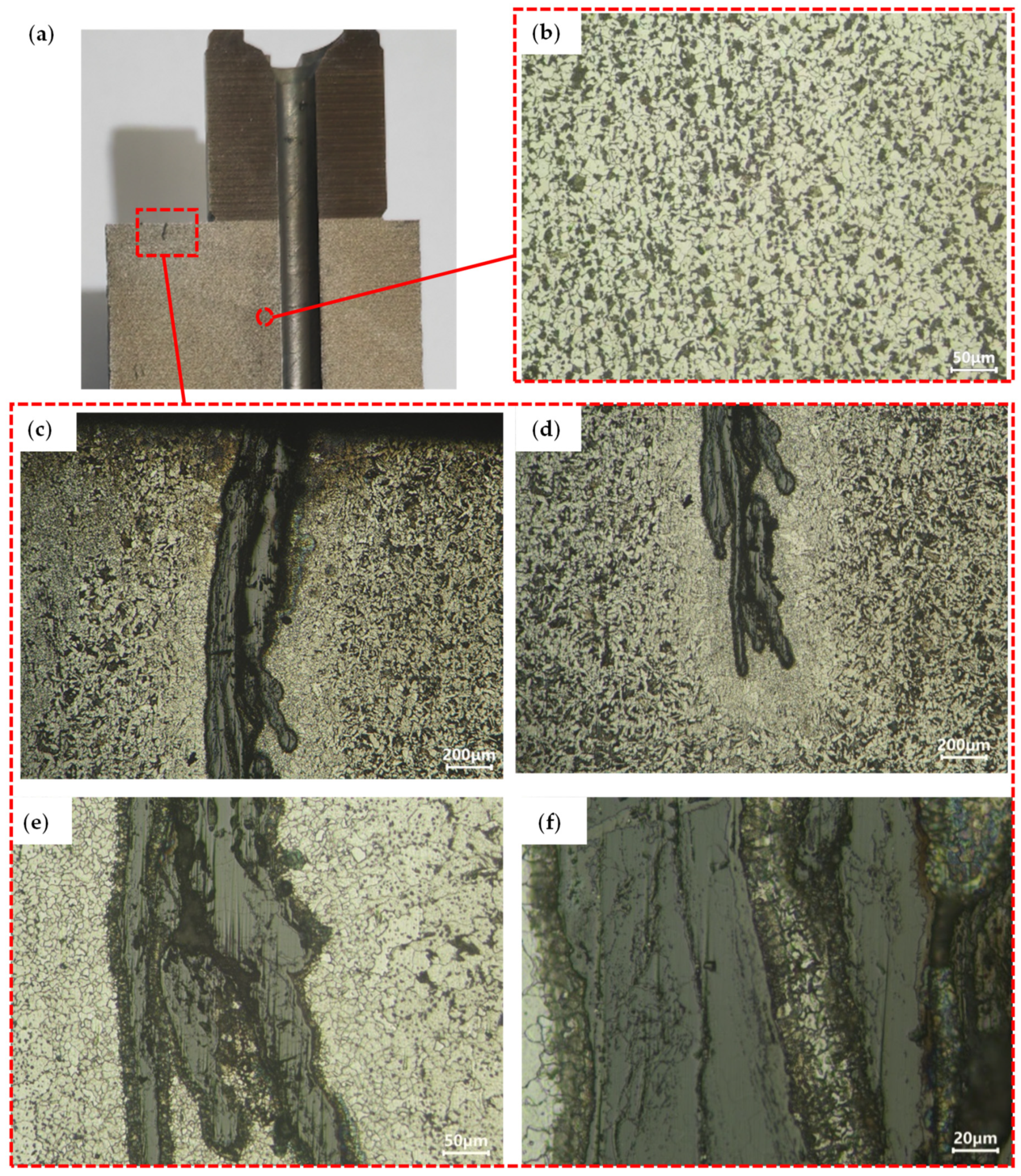 Materials 18 01468 g008