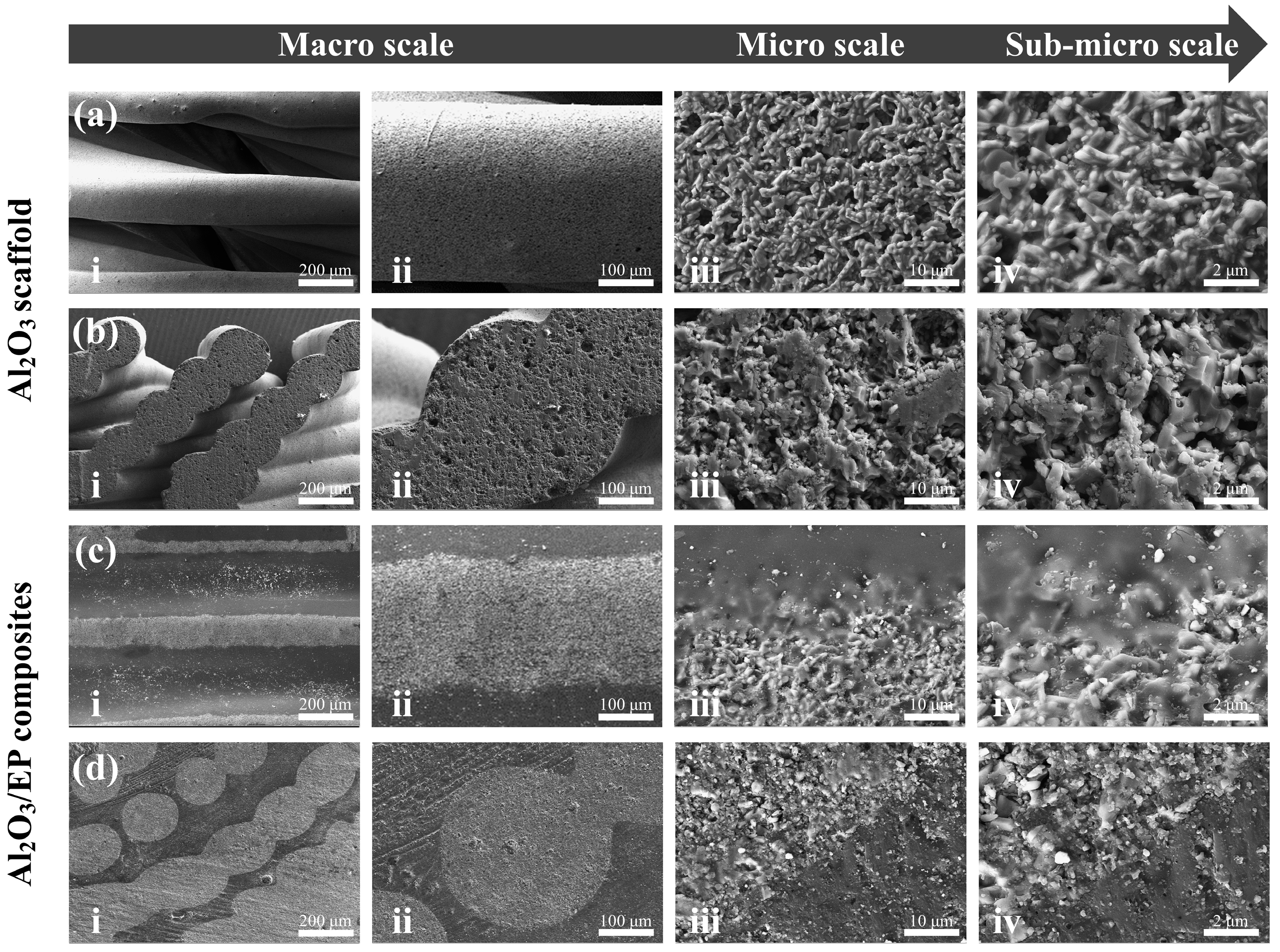 Materials 18 01479 g013 Materials 18 01479 g013