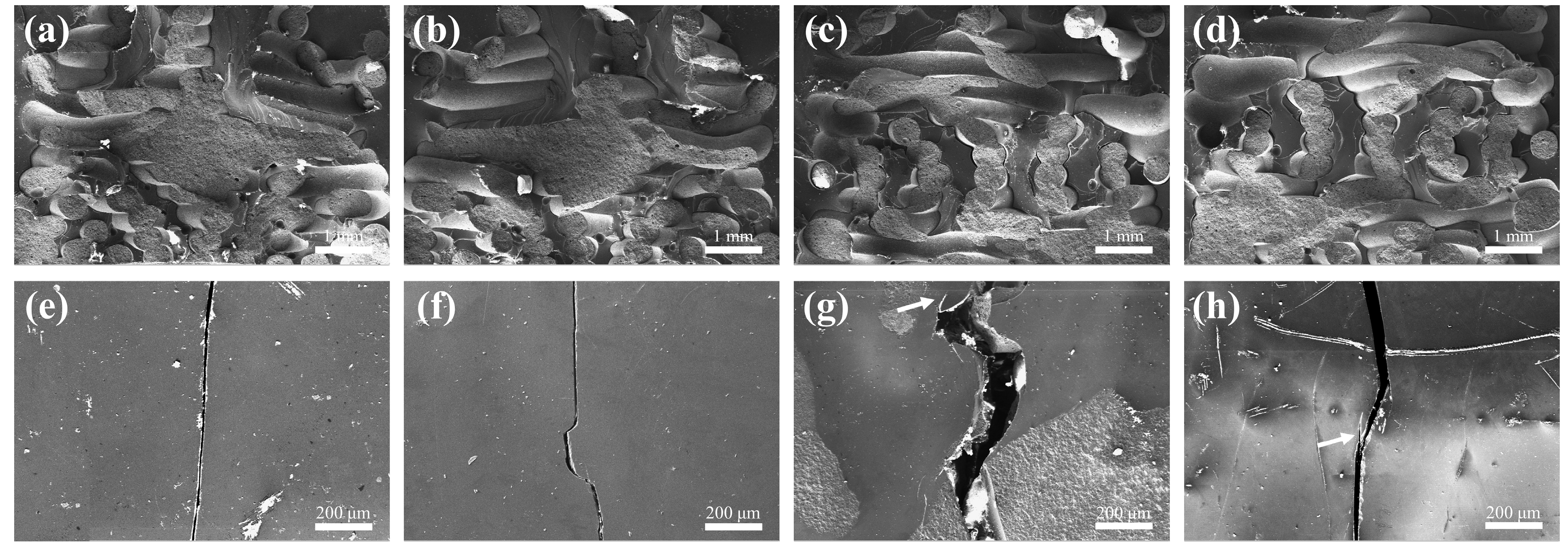 Materials 18 01479 g015 Materials 18 01479 g015