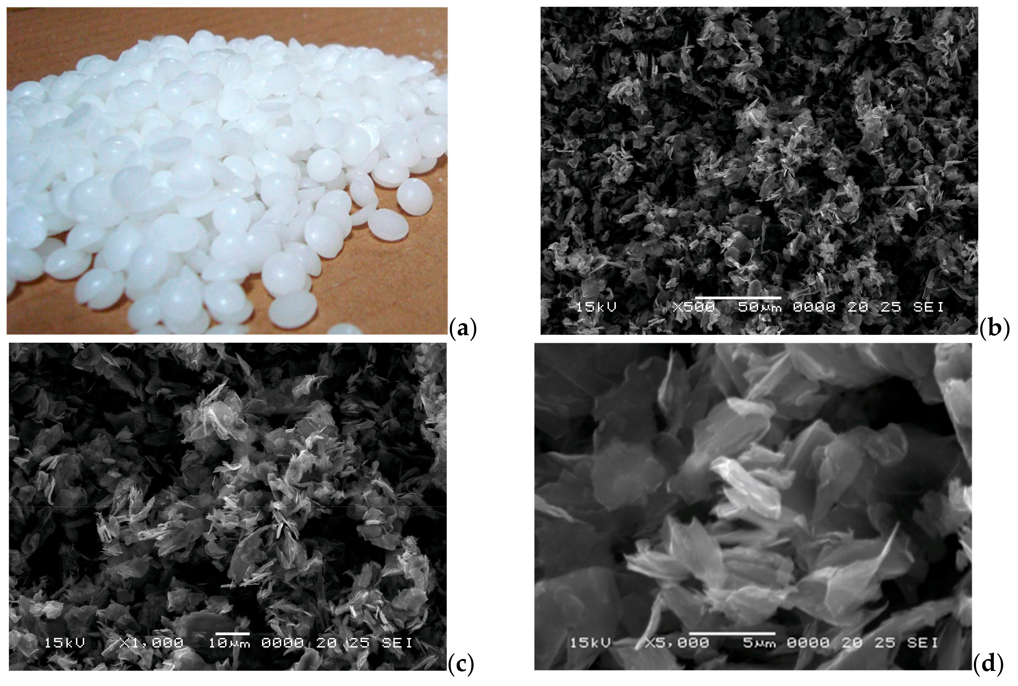 Materials 18 01482 g001