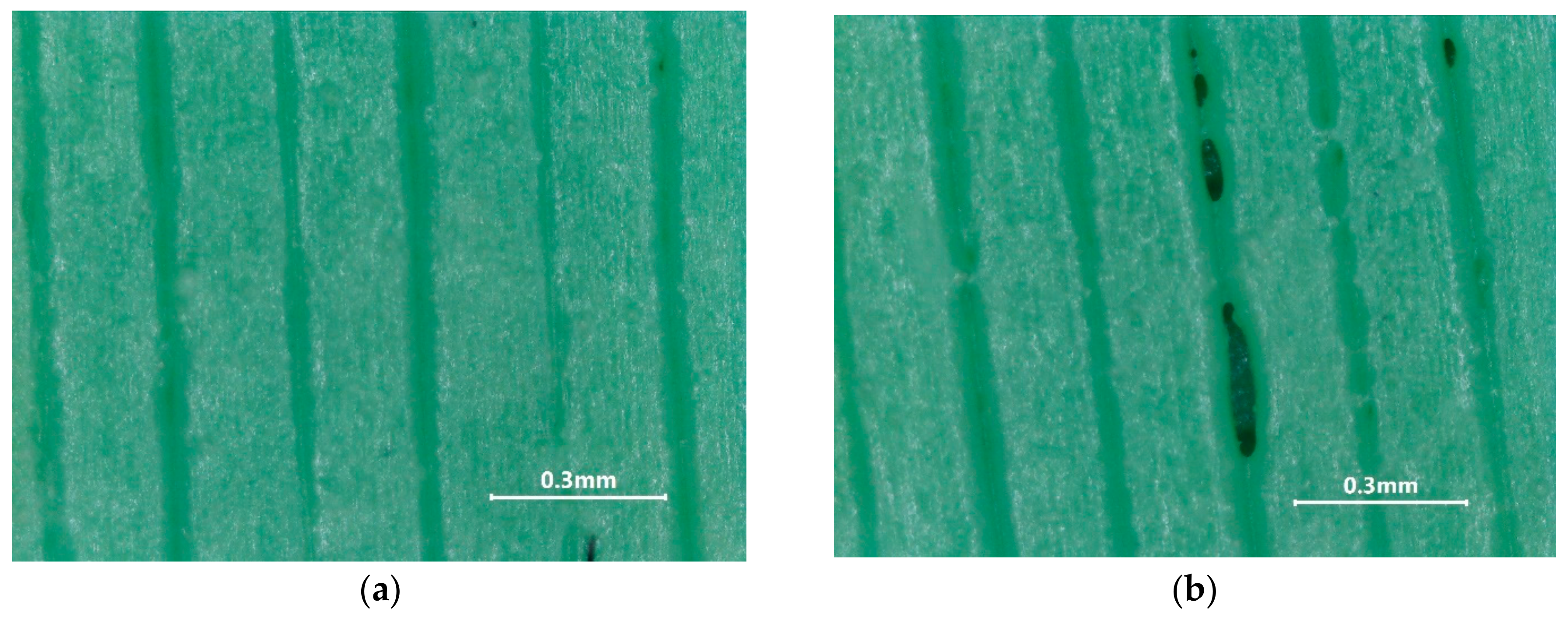 Materials 18 01482 g006