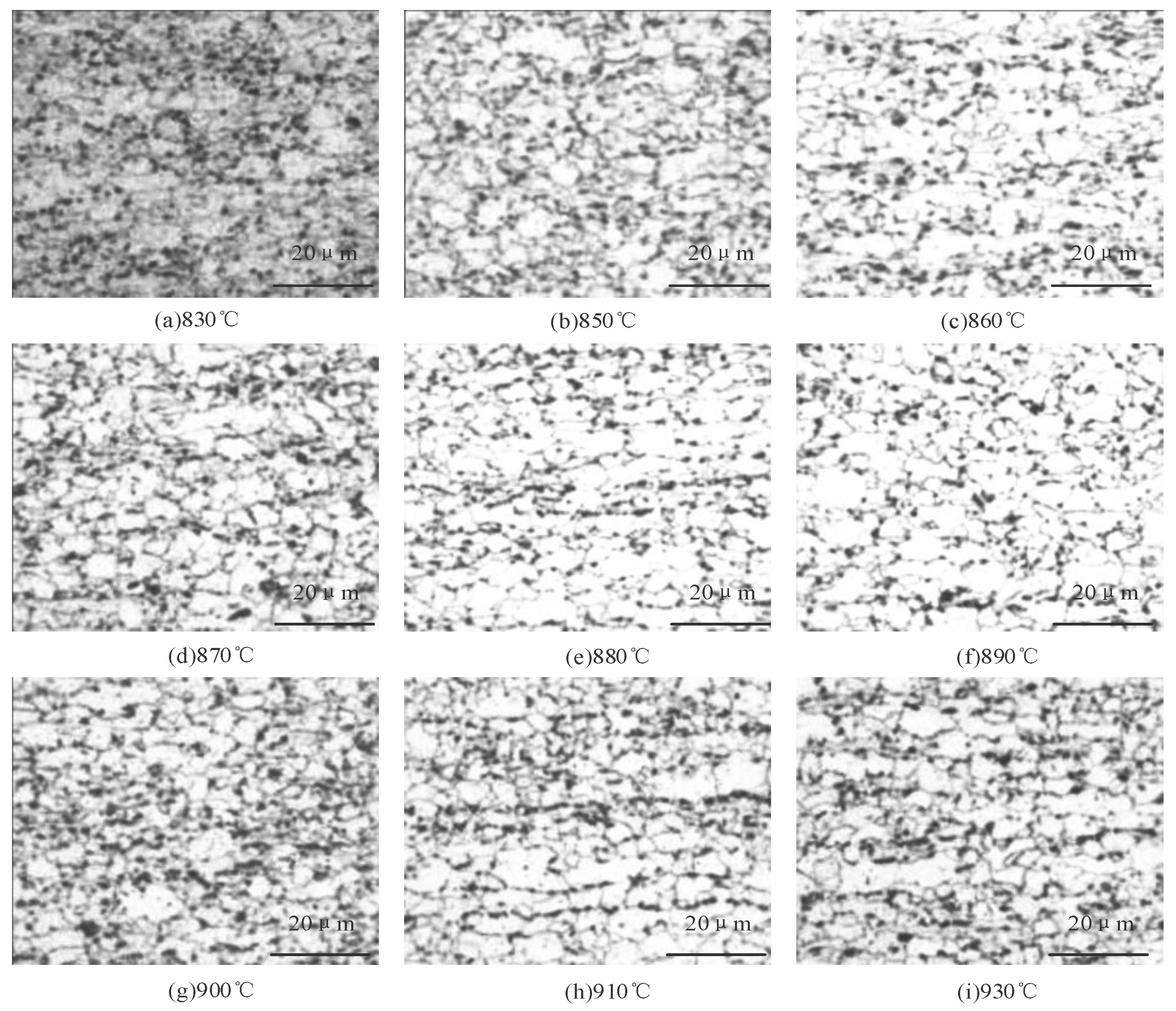 Materials 18 01488 g006