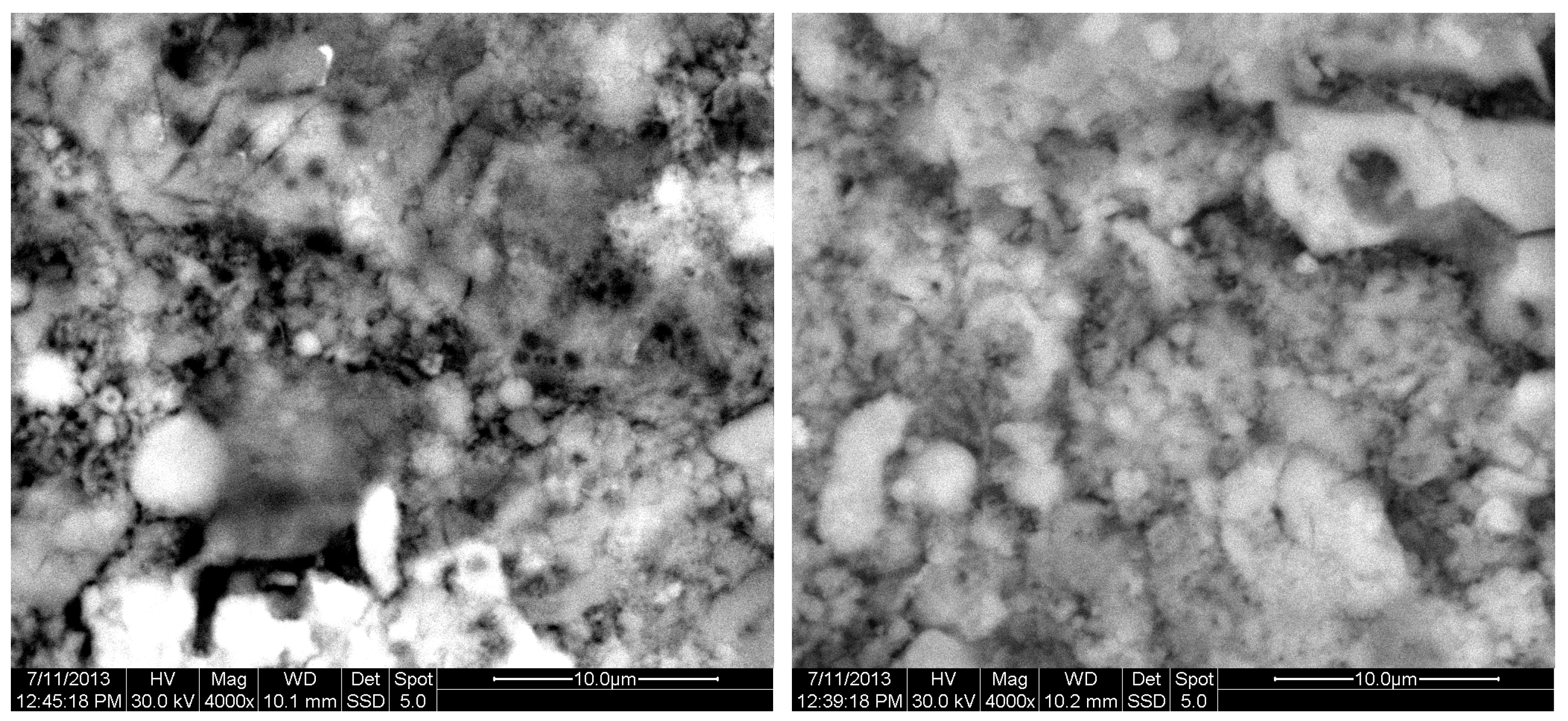 Materials 18 01496 g014