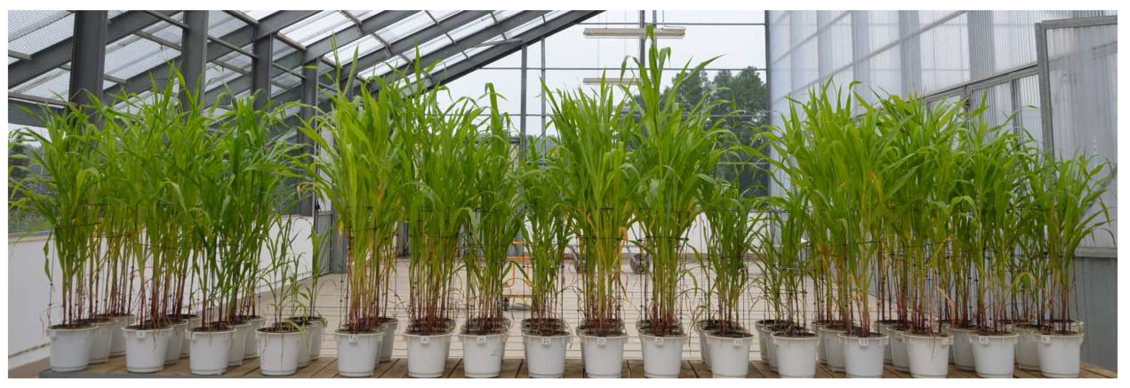 Materials 18 01522 g001