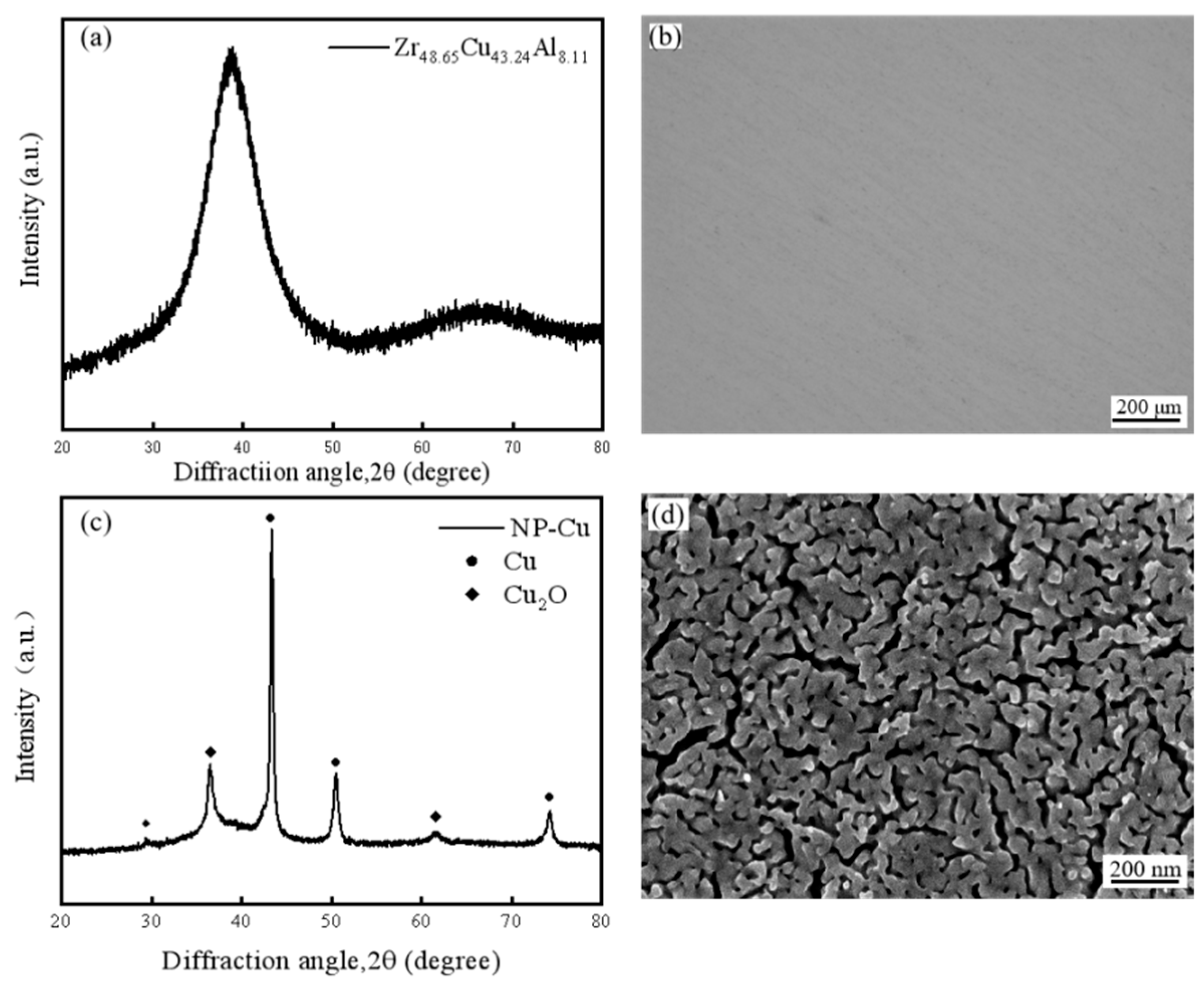 Materials 18 01529 g001 Materials 18 01529 g001