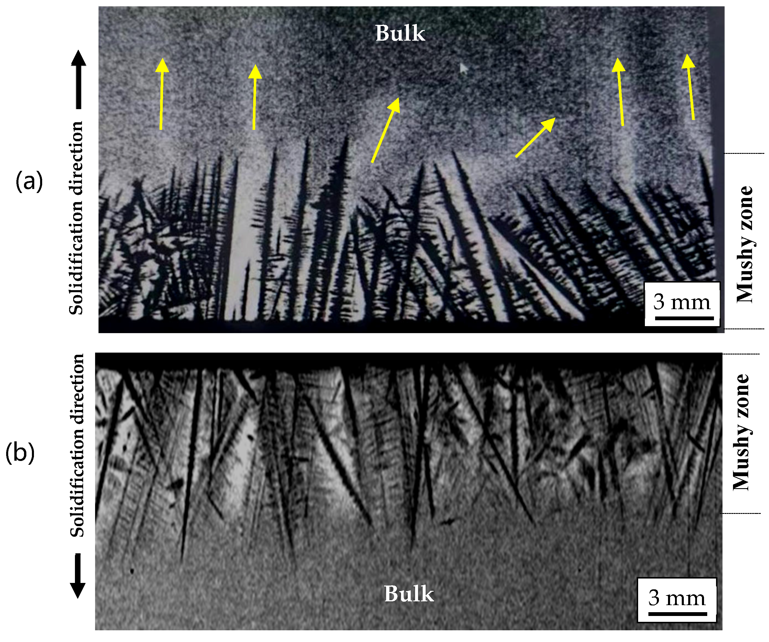 Materials 18 01534 g007