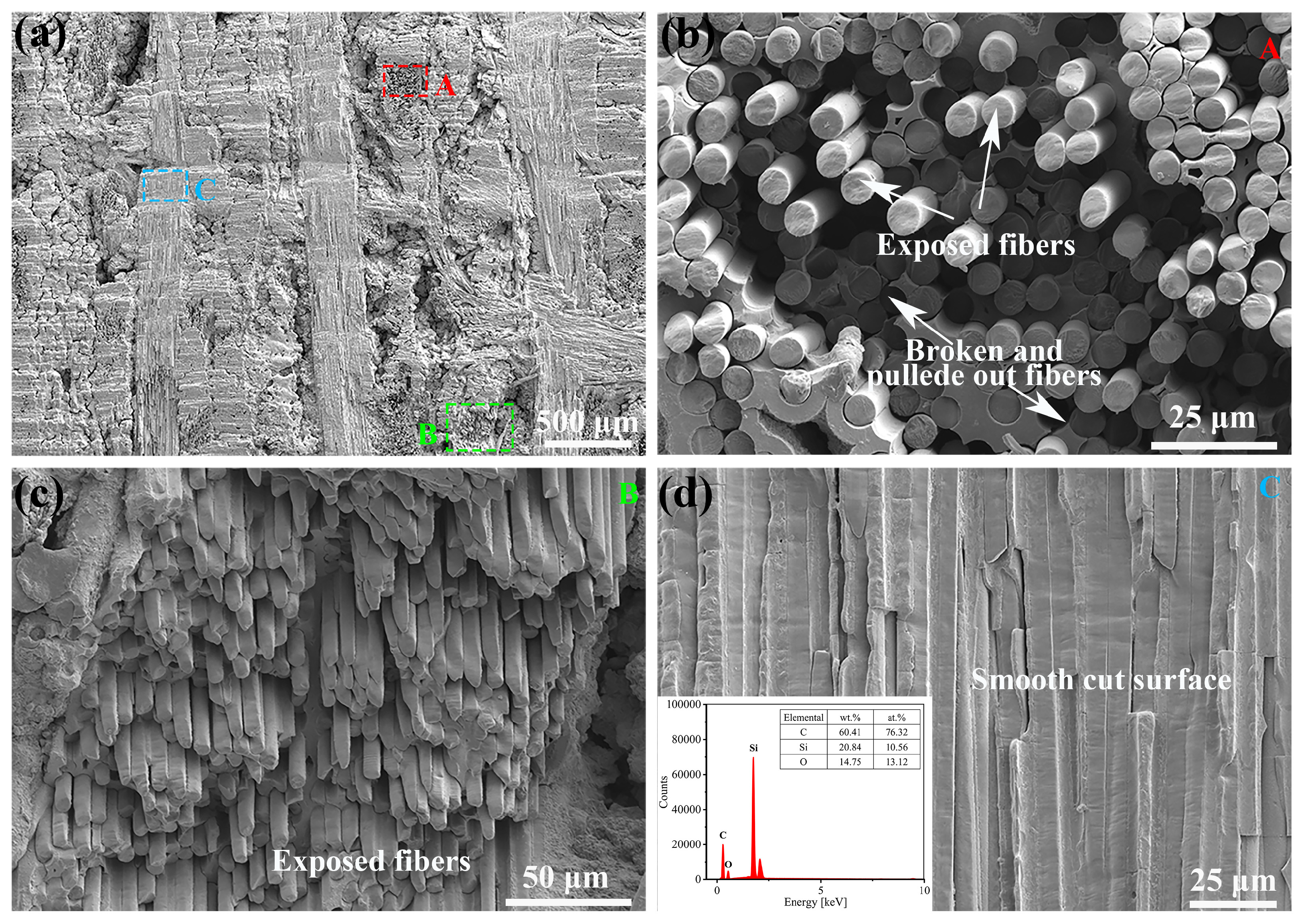 Materials 18 01560 g007 Materials 18 01560 g007