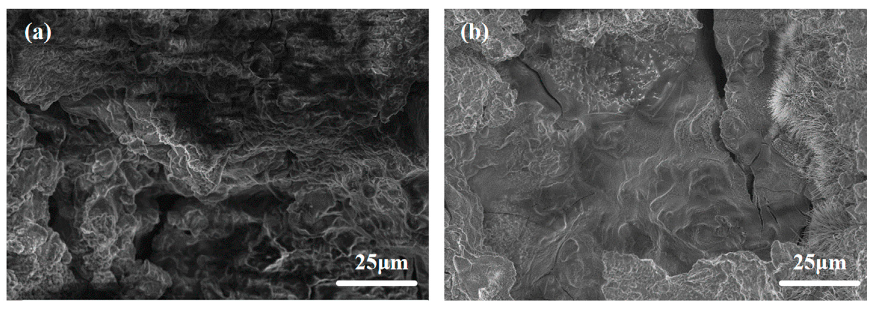 Materials 18 01562 g009