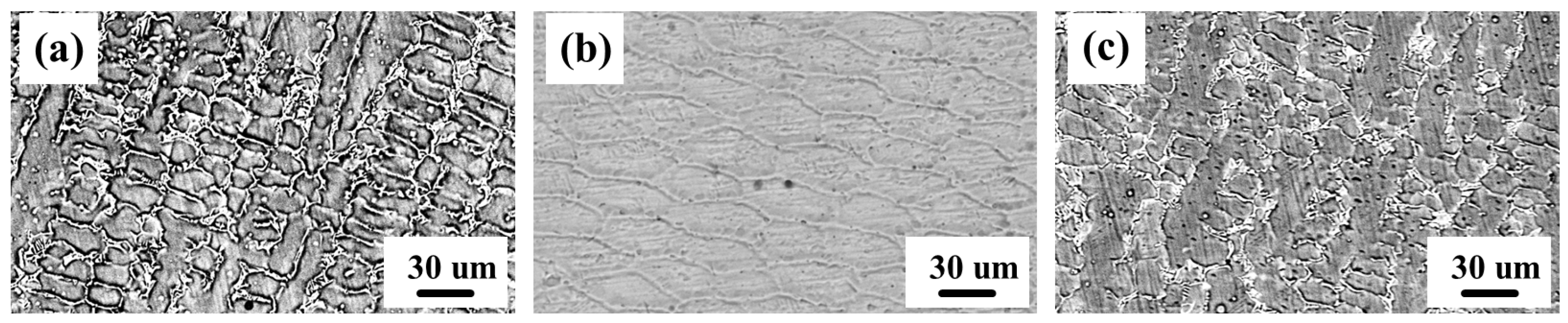 Materials 18 01572 g005