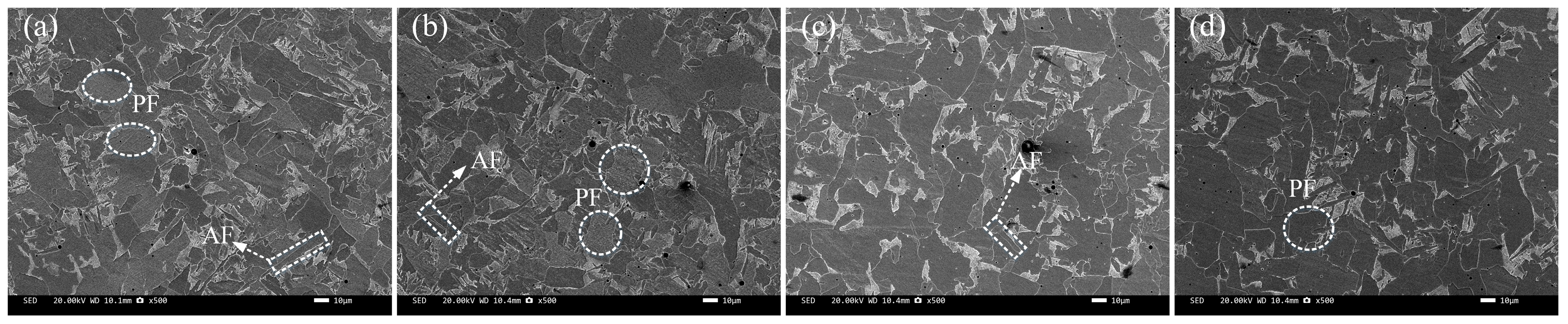 Materials 18 01581 g005