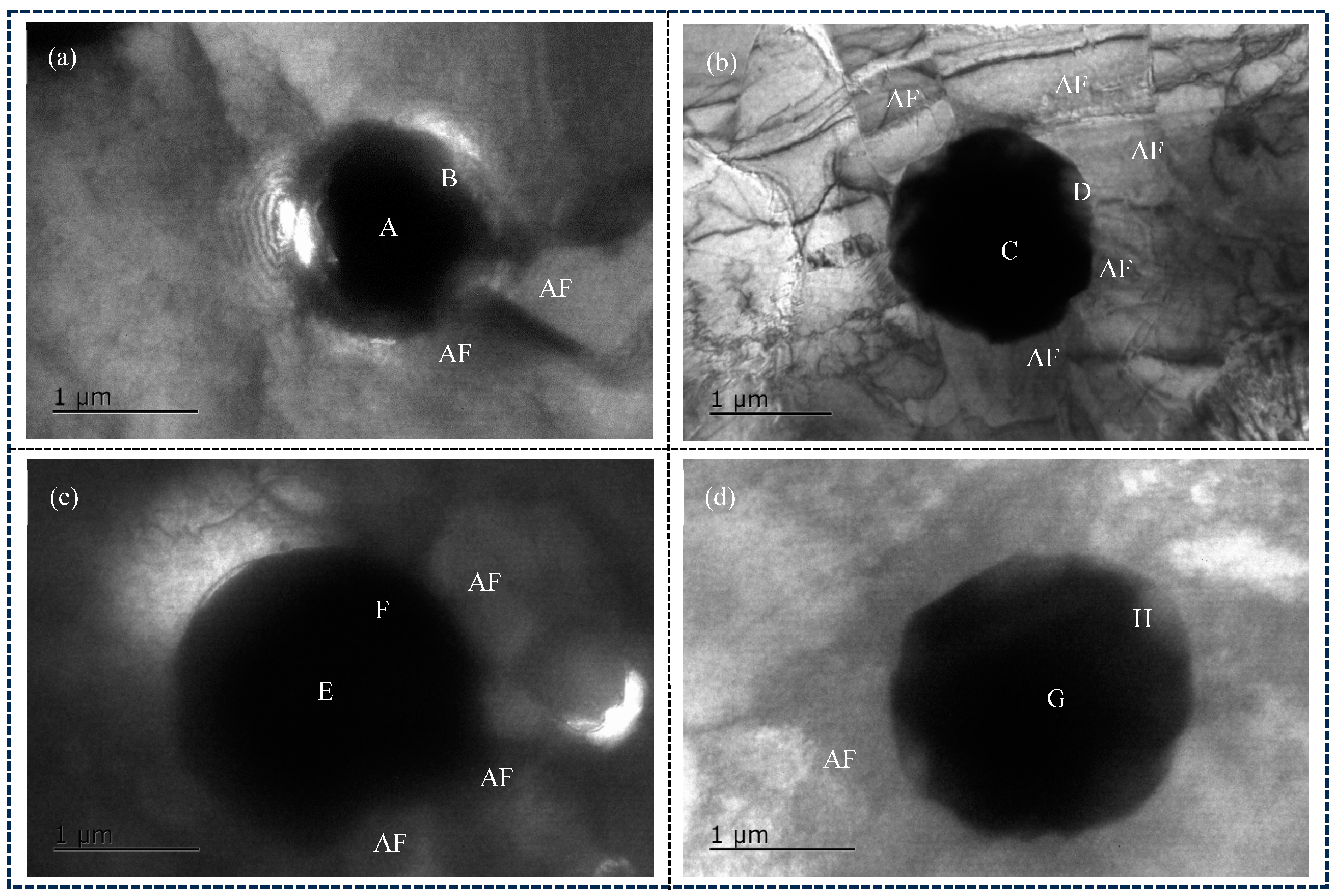 Materials 18 01581 g011